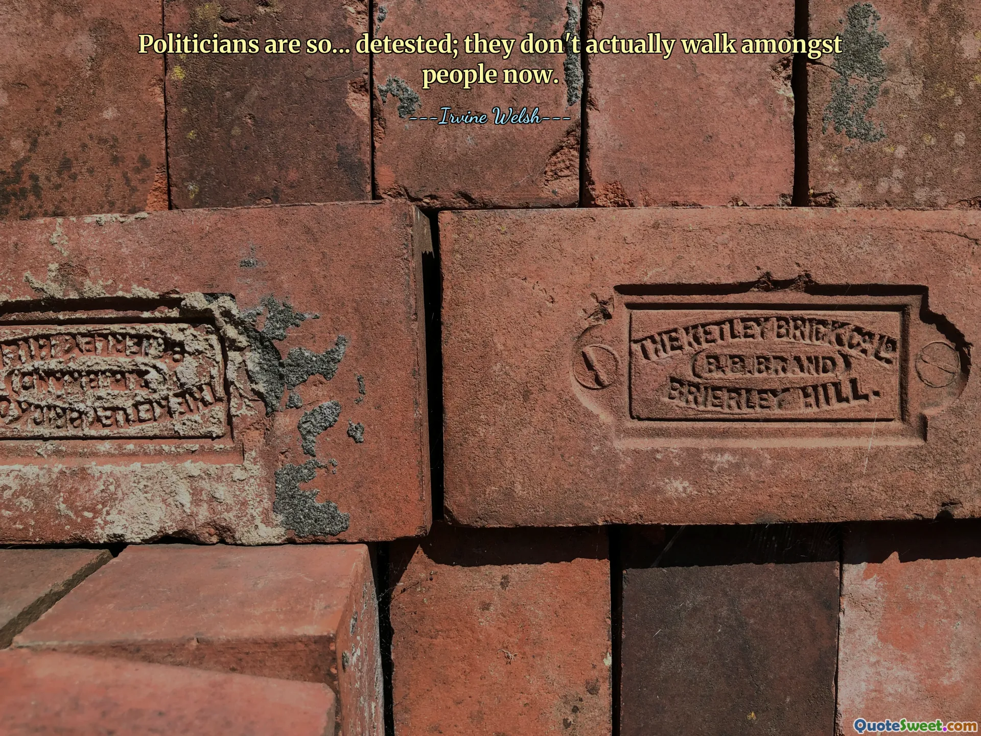 政客是如此……令人厌恶；他们现在实际上并不在人群中行走。