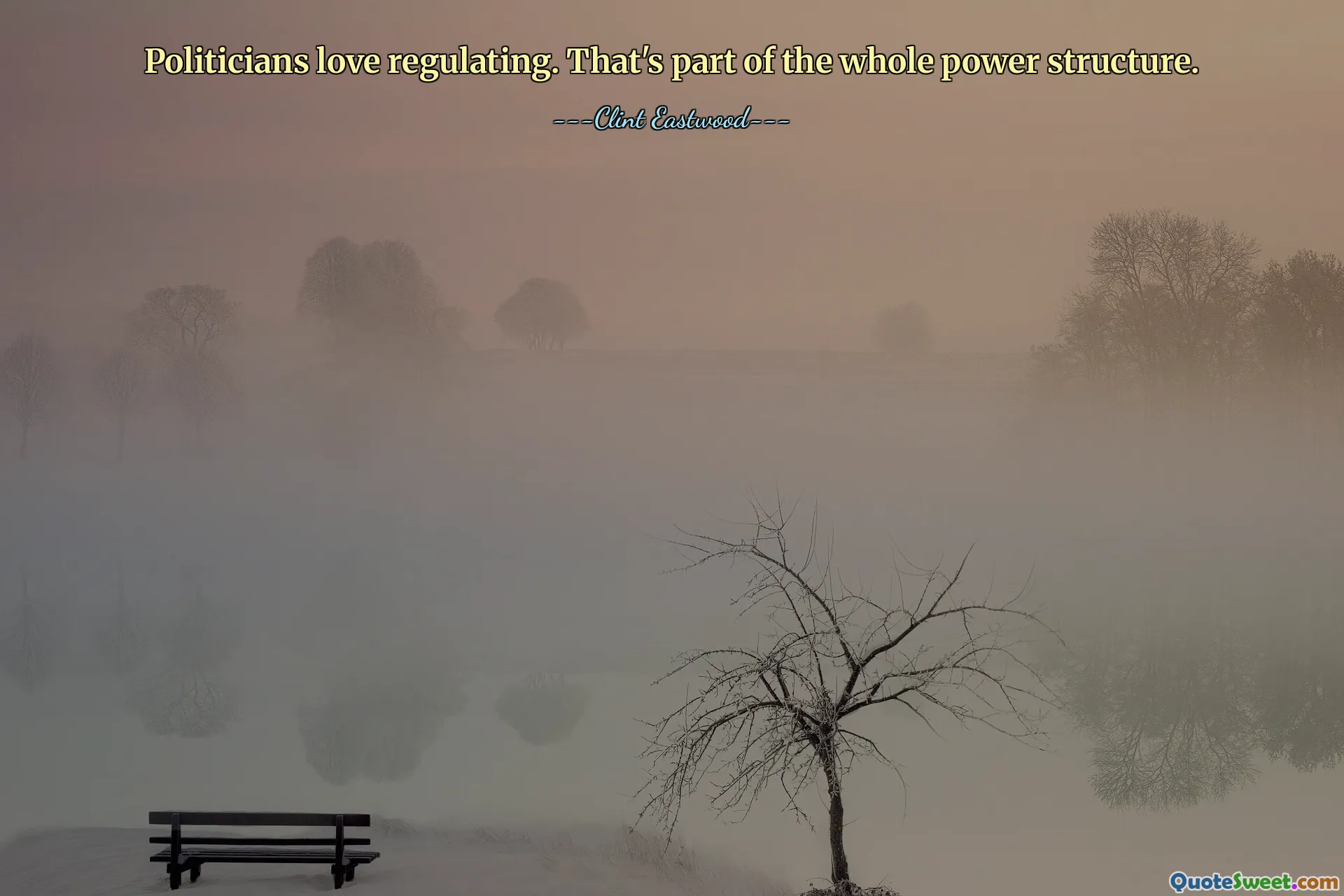 Politicians love regulating. That's part of the whole power structure.