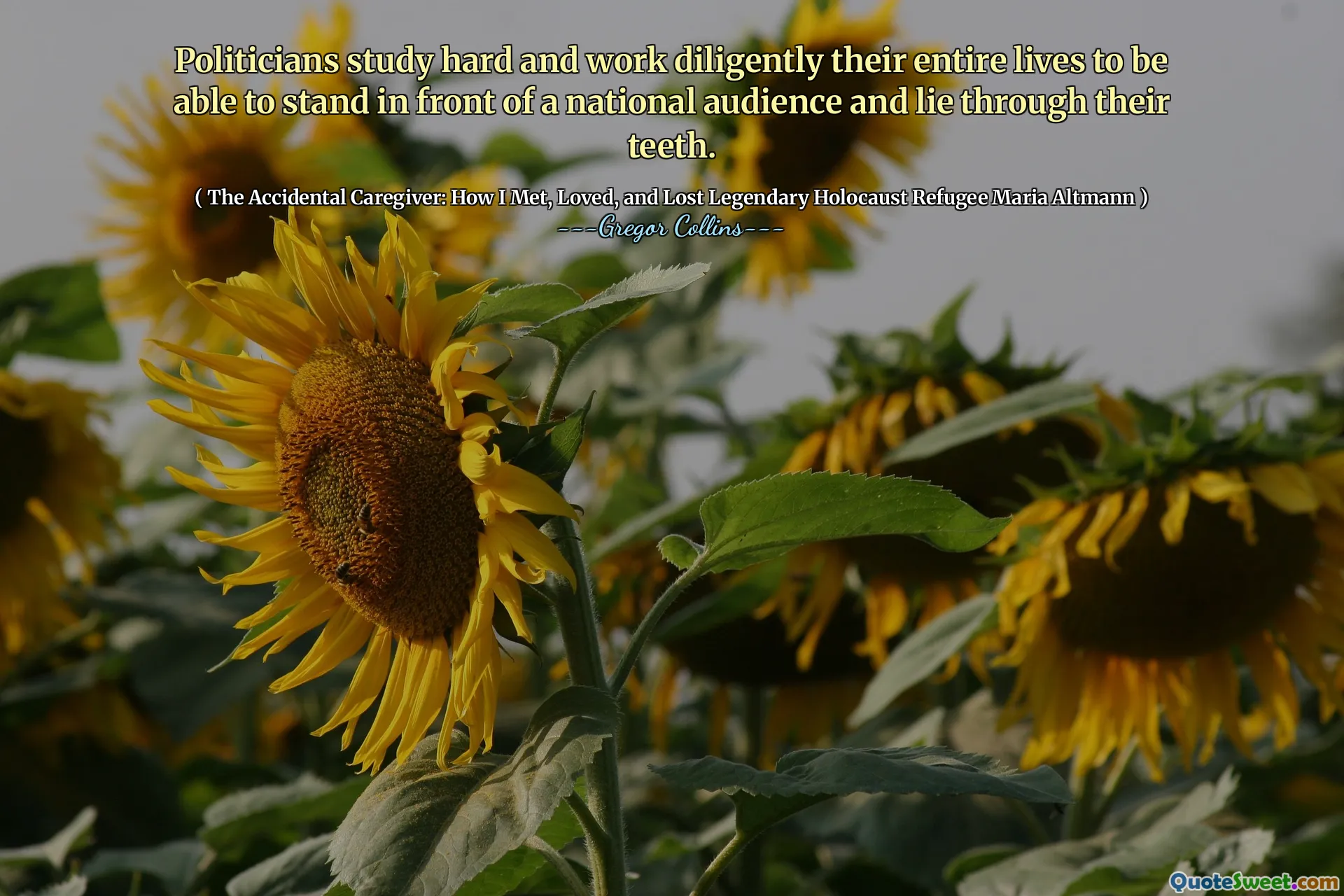 Politicians study hard and work diligently their entire lives to be able to stand in front of a national audience and lie through their teeth.