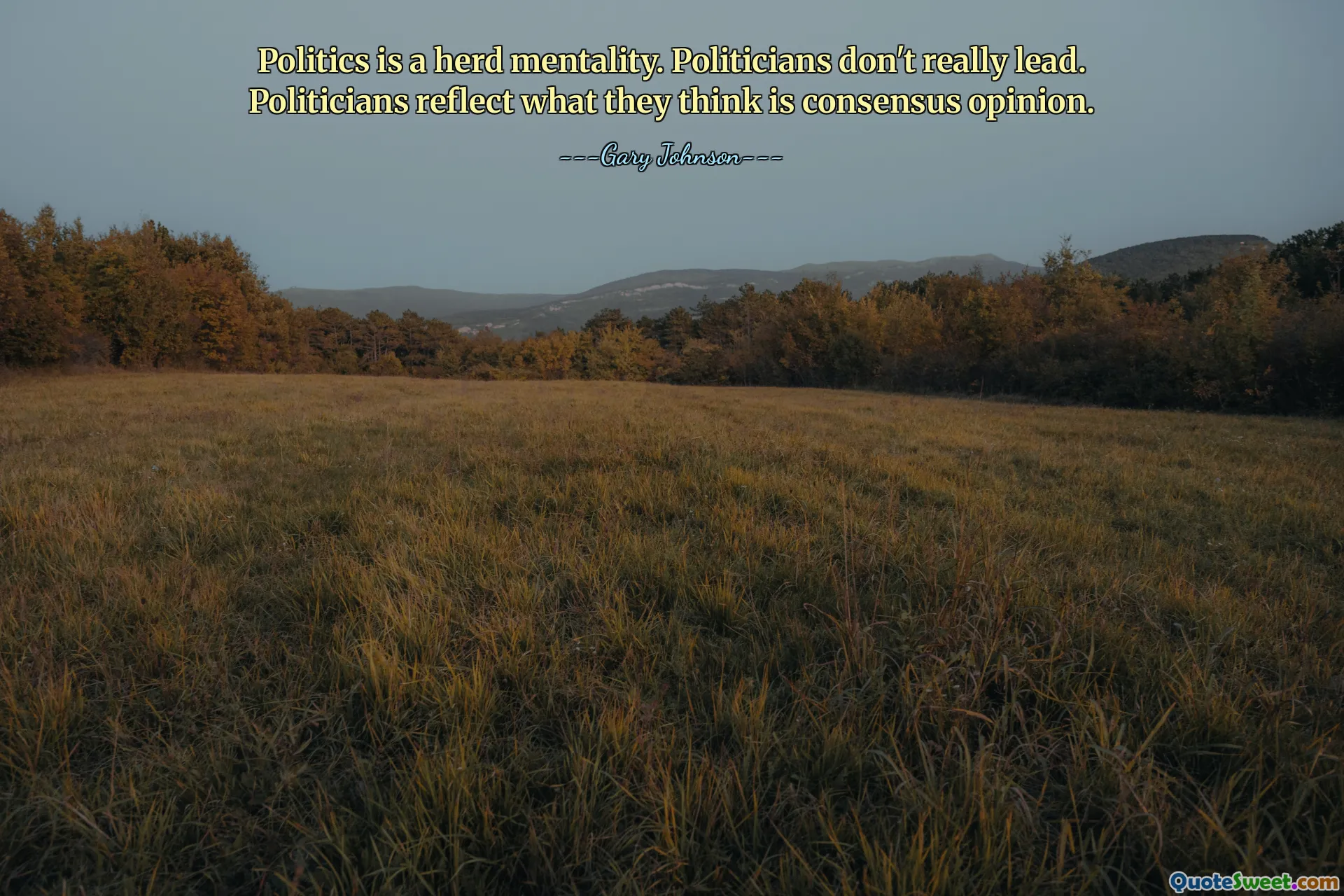 Politics is a herd mentality. Politicians don't really lead. Politicians reflect what they think is consensus opinion.