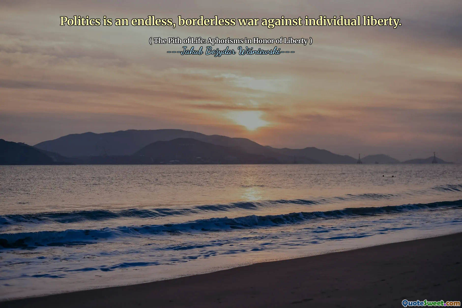 Politics is an endless, borderless war against individual liberty.