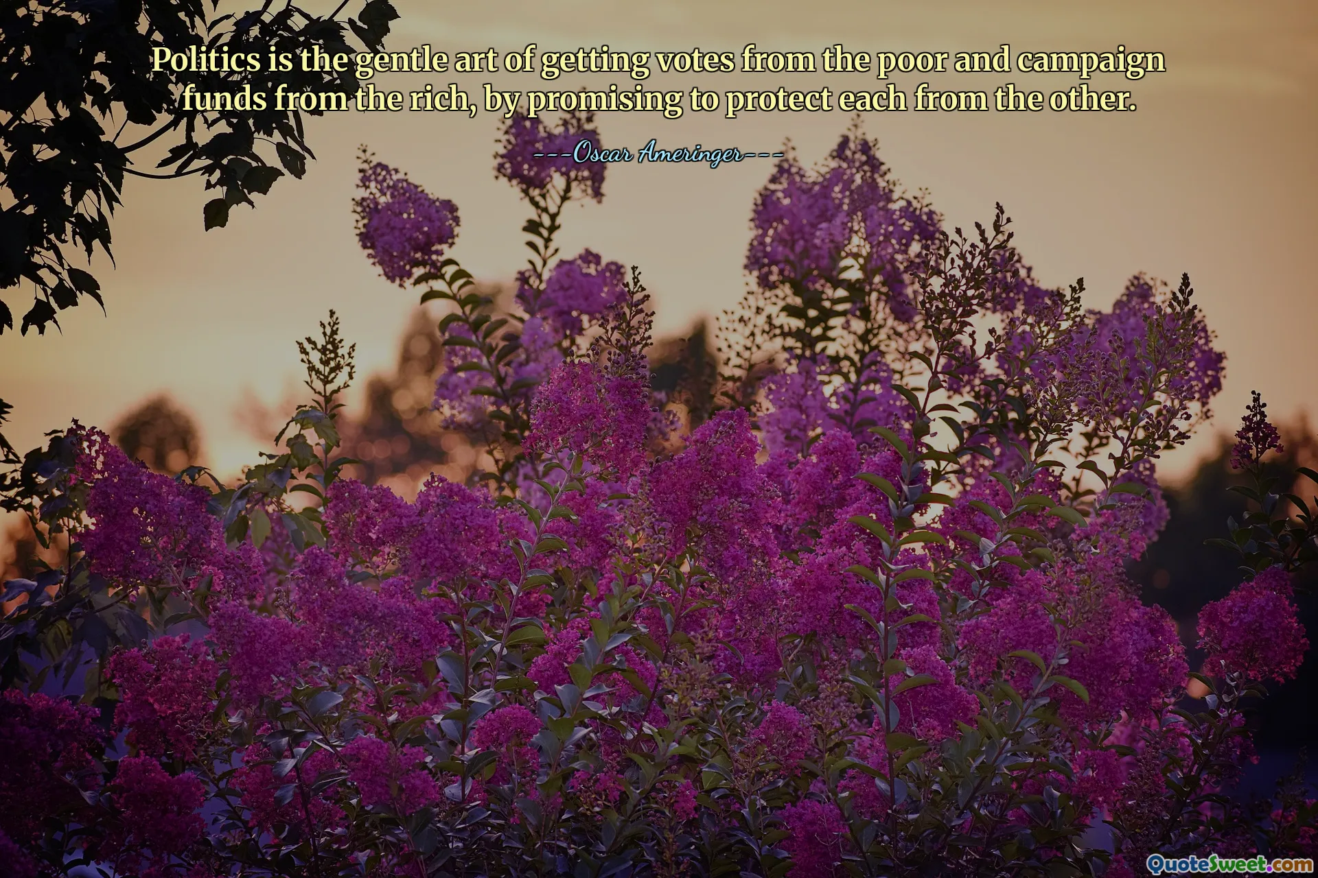 Politics is the gentle art of getting votes from the poor and campaign funds from the rich, by promising to protect each from the other.