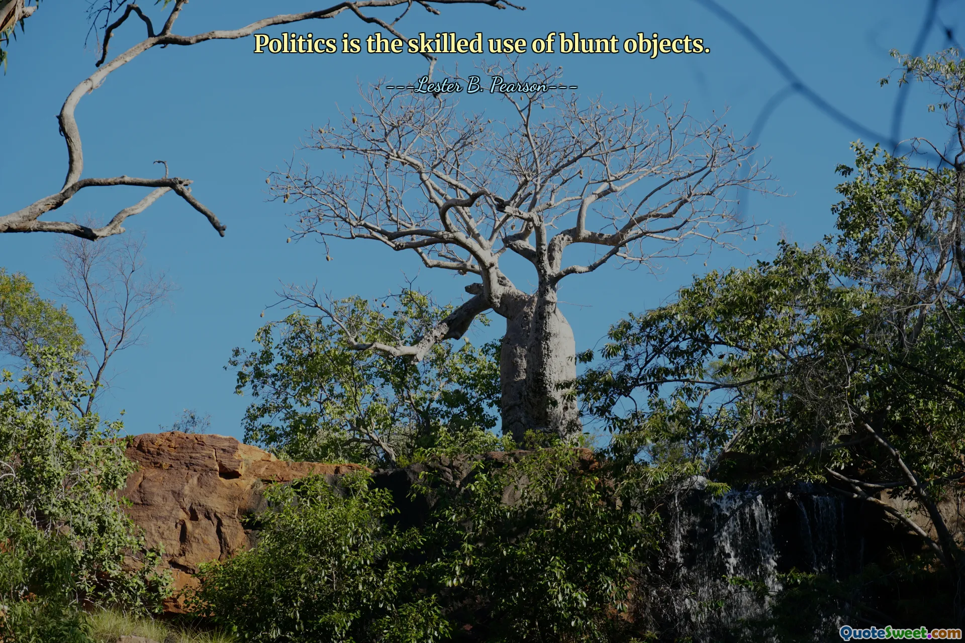 Politics is the skilled use of blunt objects.