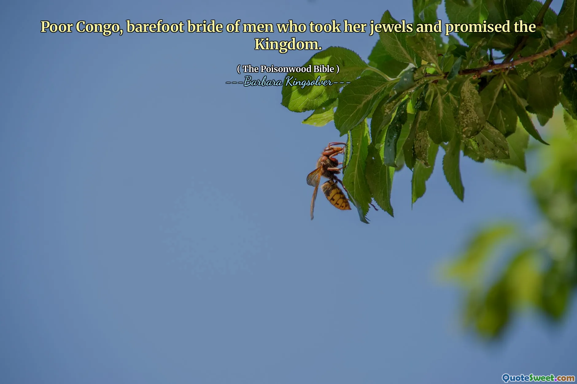 Stakkars Kongo, barfot bruden av menn som tok hennes juveler og lovet riket.