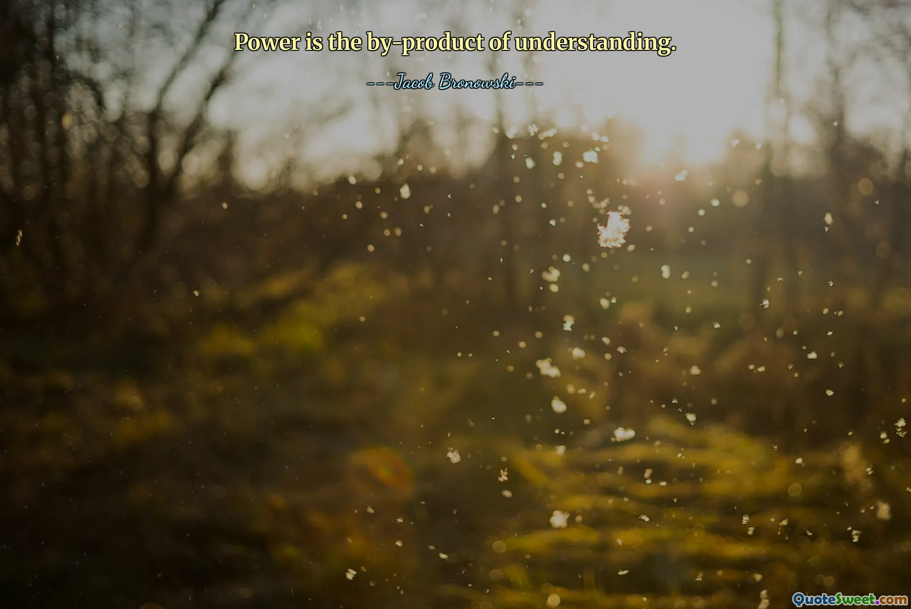 Power is the by-product of understanding.