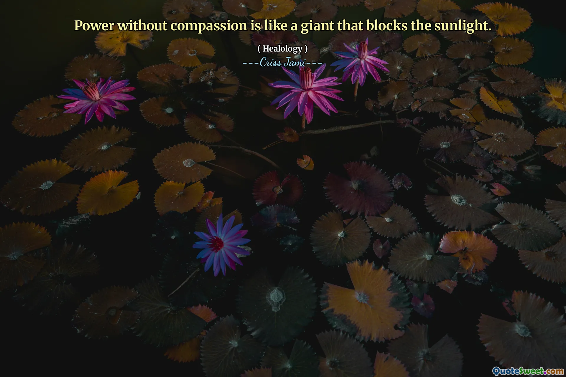 Power without compassion is like a giant that blocks the sunlight.