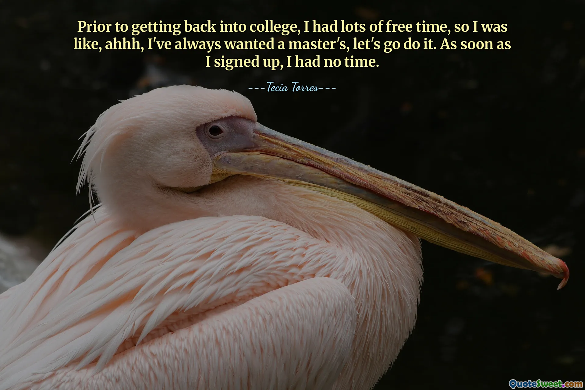 Prior to getting back into college, I had lots of free time, so I was like, ahhh, I've always wanted a master's, let's go do it. As soon as I signed up, I had no time.