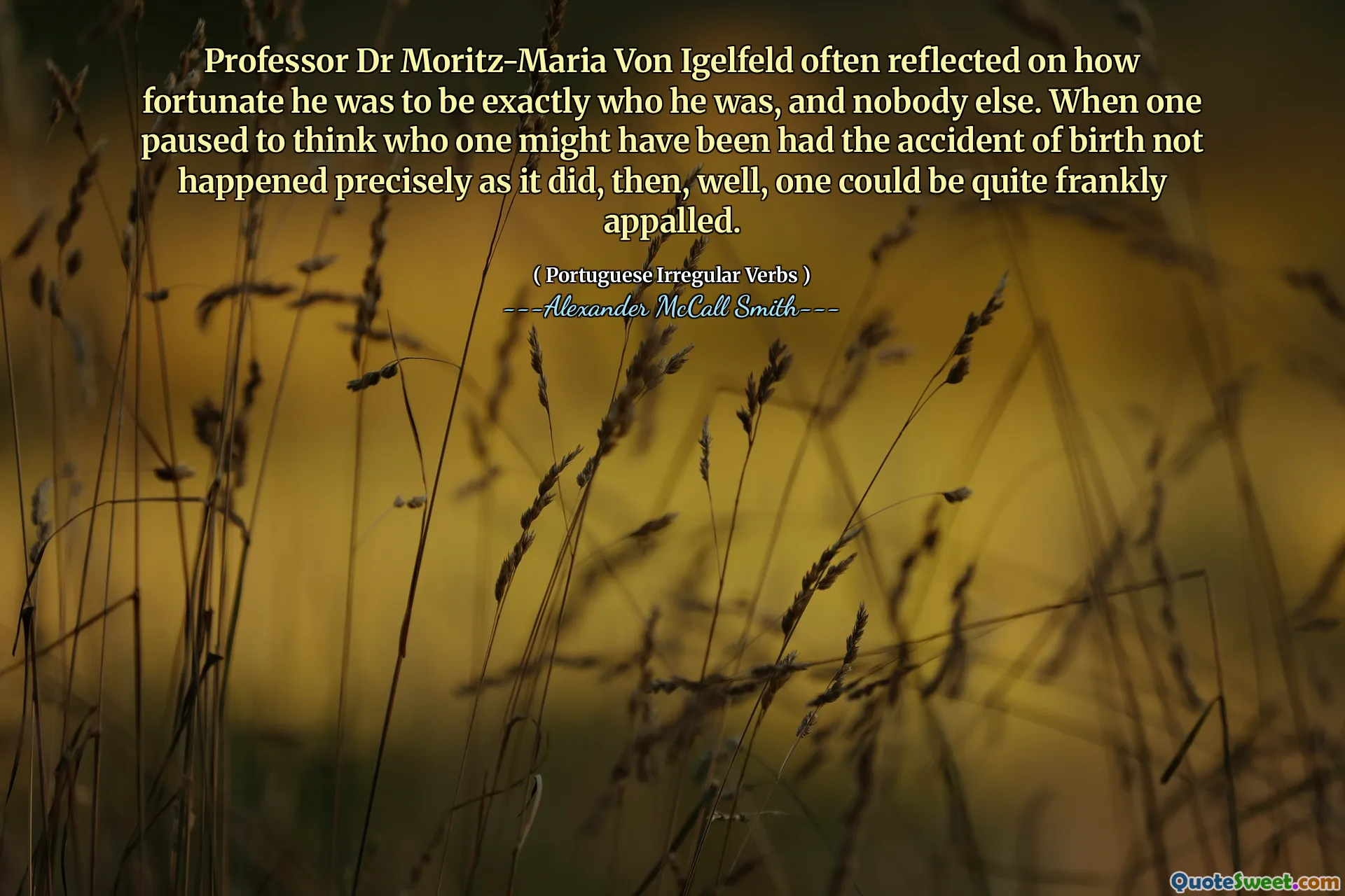 La professoressa Dr Moritz-Maria von Igelfeld rifletteva spesso su quanto fosse fortunato essere esattamente quello che era e nessun altro. Quando uno si è fermato a pensare a chi si sarebbe potuto avere l'incidente di nascita non è avvenuto esattamente come, quindi, beh, si potrebbe essere francamente sconvolti.