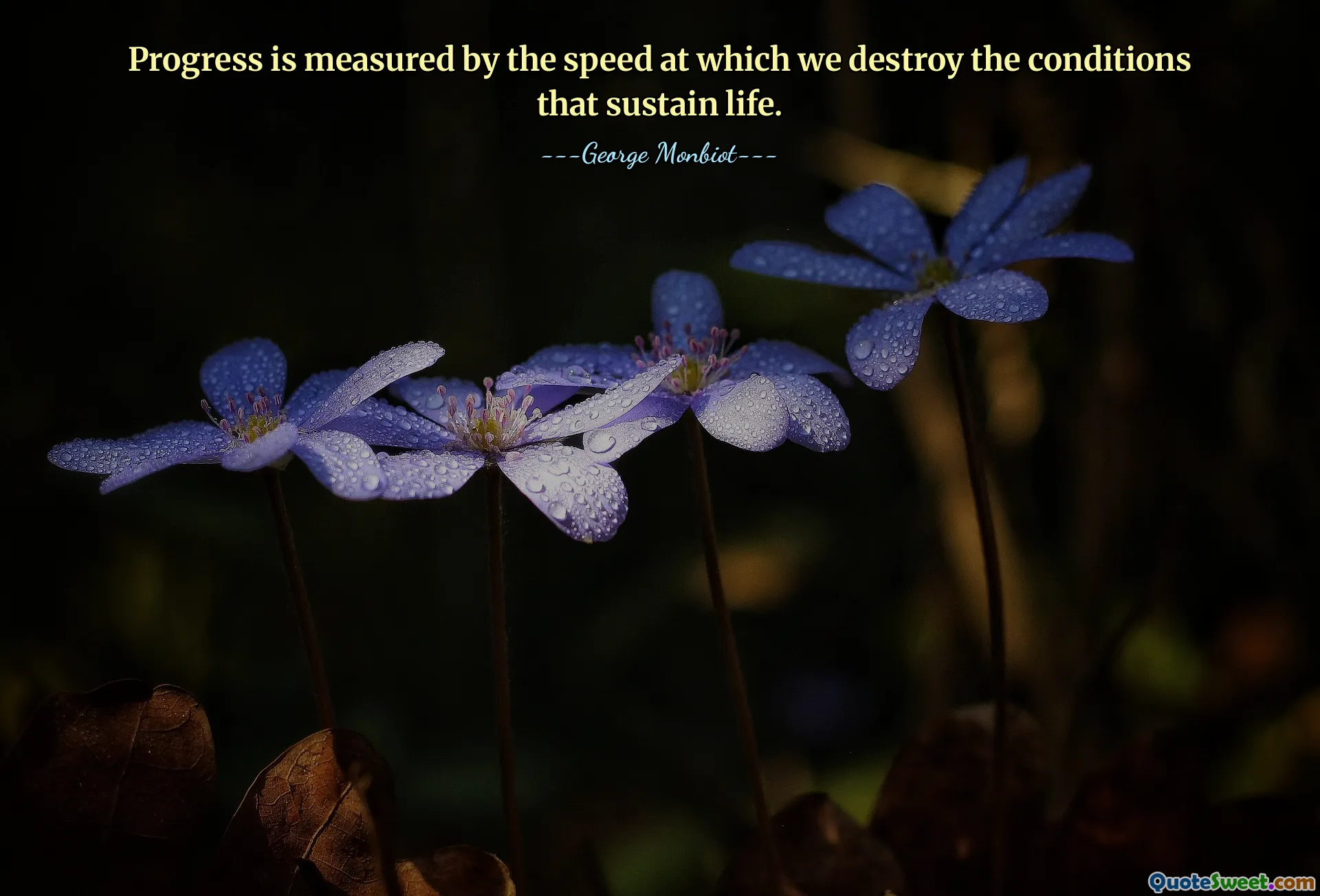 Progress is measured by the speed at which we destroy the conditions that sustain life.