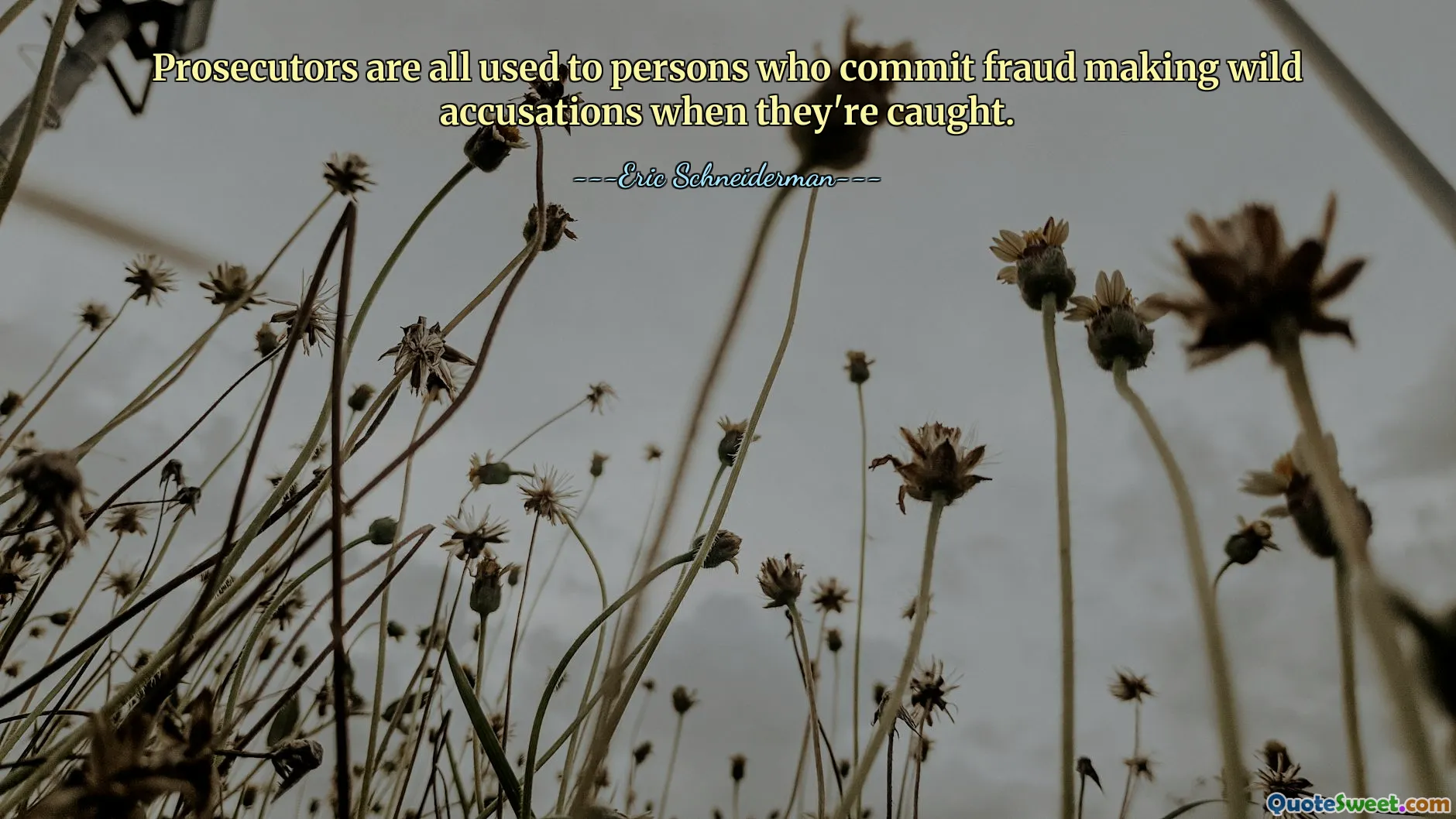 Prosecutors are all used to persons who commit fraud making wild accusations when they're caught.