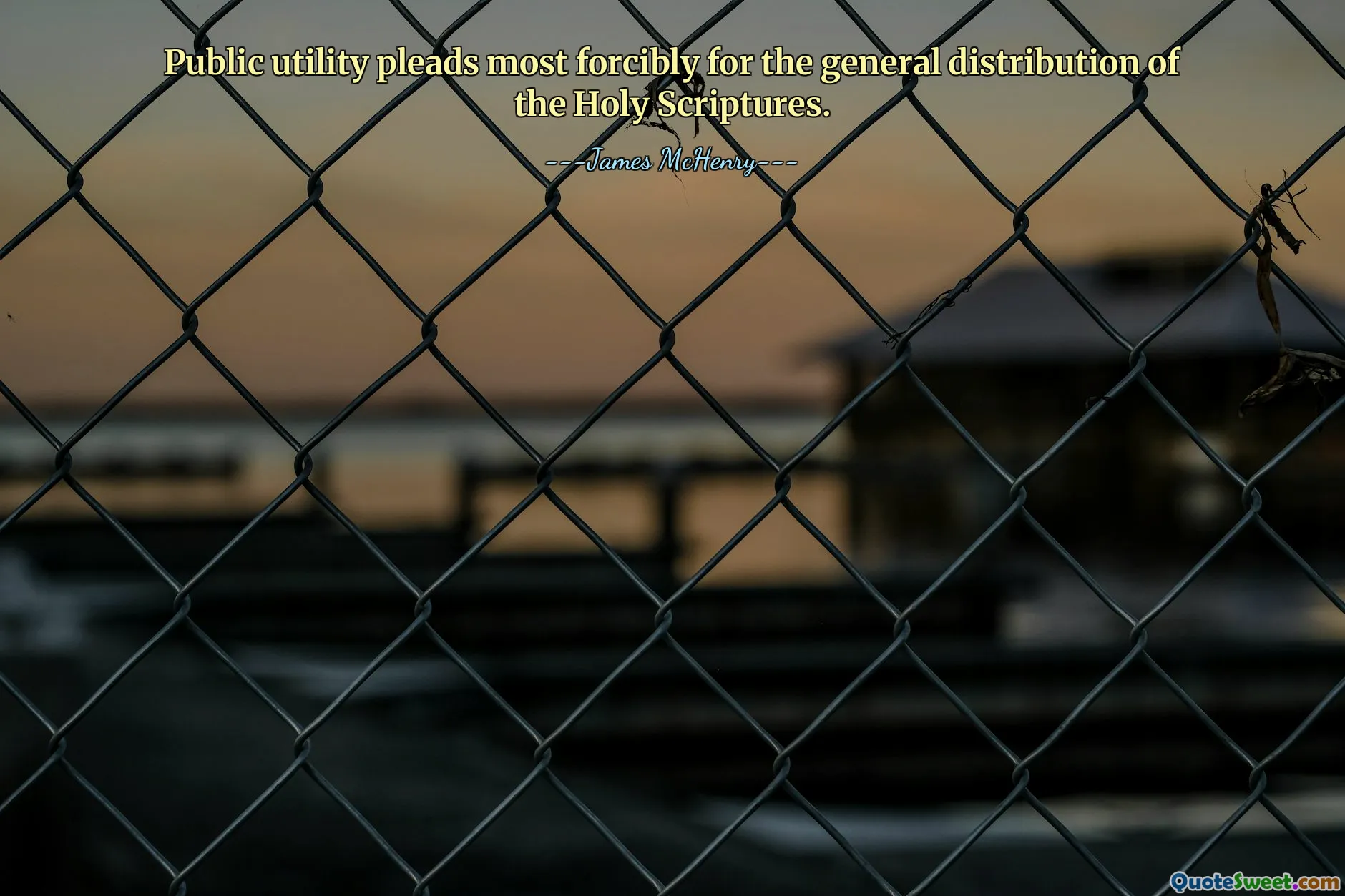 सार्वजनिक उपयोगिता पवित्र धर्मग्रंथों के सामान्य वितरण के लिए सबसे अधिक बलपूर्वक निवेदन करती है।
