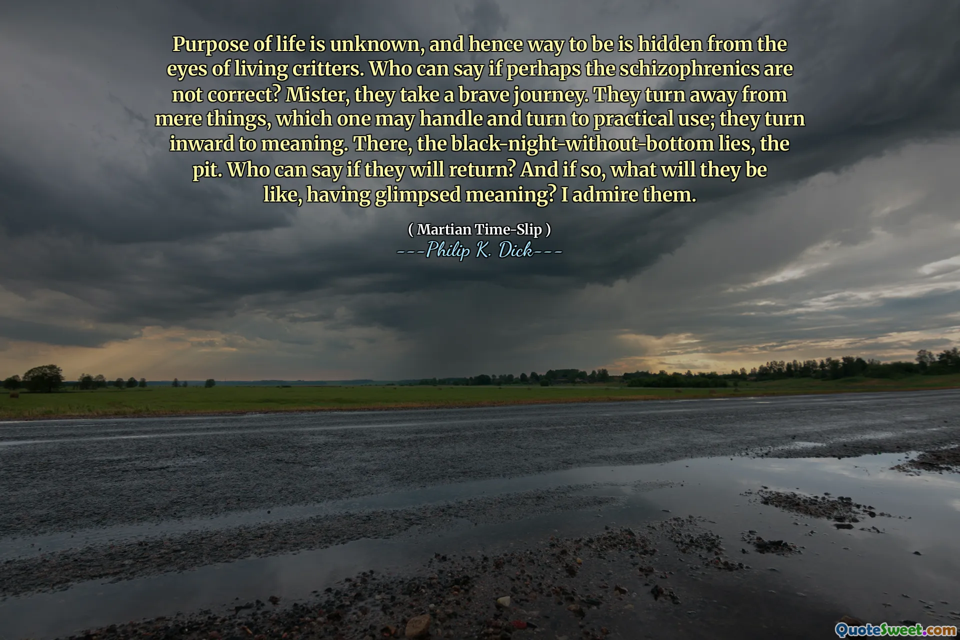 生命的目的是未知的，因此，生命的方式隐藏在生物小动物的眼中。谁能说，也许精神分裂症患者不正确？先生，他们走了一个勇敢的旅程。他们远离单纯的事物，人们可能会处理并转向实际用途；他们向内转向意义。在那里，黑夜没有底部，坑。谁能说他们是否会返回？如果是这样，他们会瞥见含义是什么样的？我钦佩他们。