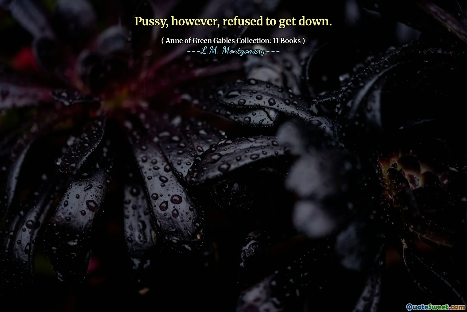 Pussy, however, refused to get down.