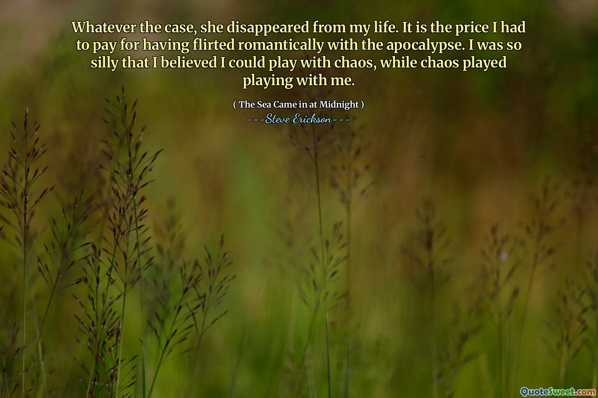 Whatever the case, she disappeared from my life. It is the price I had to pay for having flirted romantically with the apocalypse. I was so silly that I believed I could play with chaos, while chaos played playing with me.