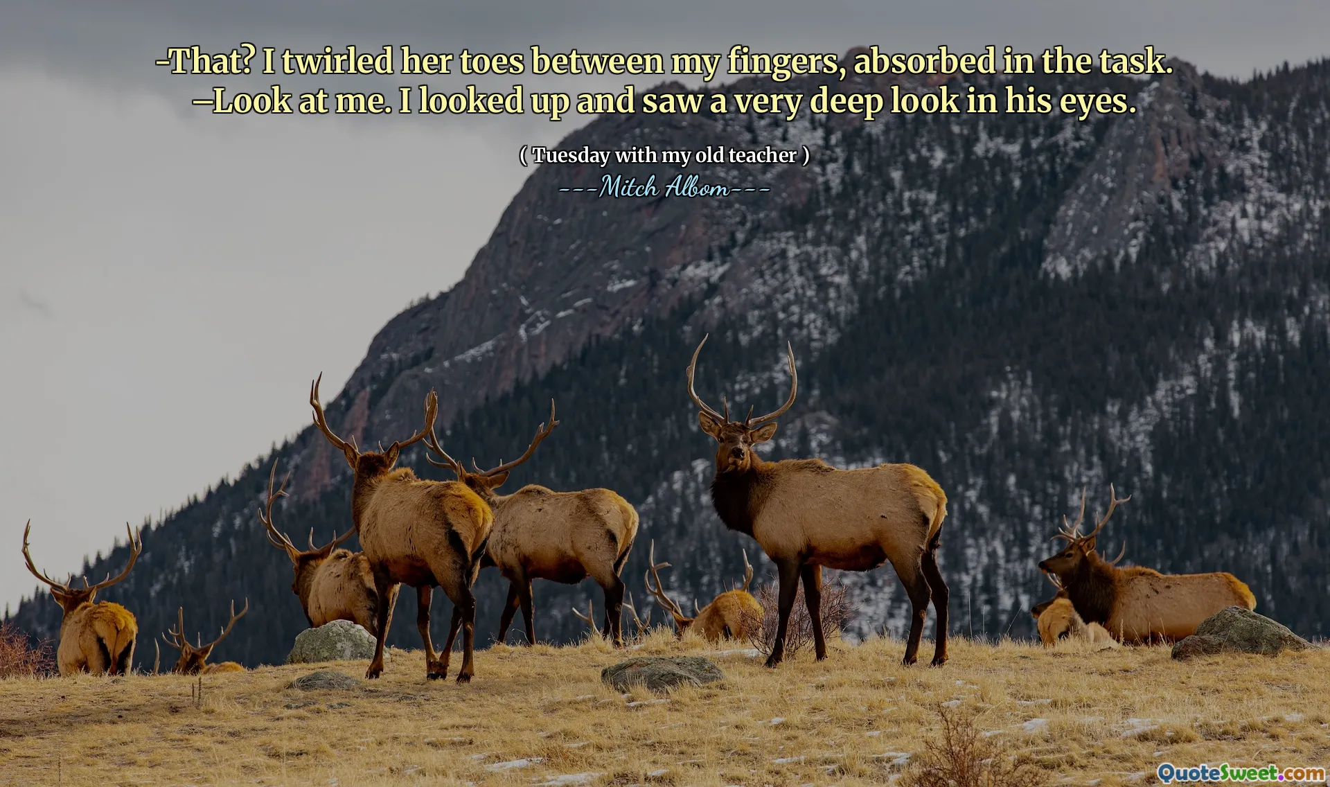 -वह? मैंने अपनी उंगलियों को अपनी उंगलियों के बीच घुमाया, कार्य में अवशोषित किया। -मेरी तरफ देखो। मैंने देखा और उसकी आँखों में बहुत गहरा रूप देखा।