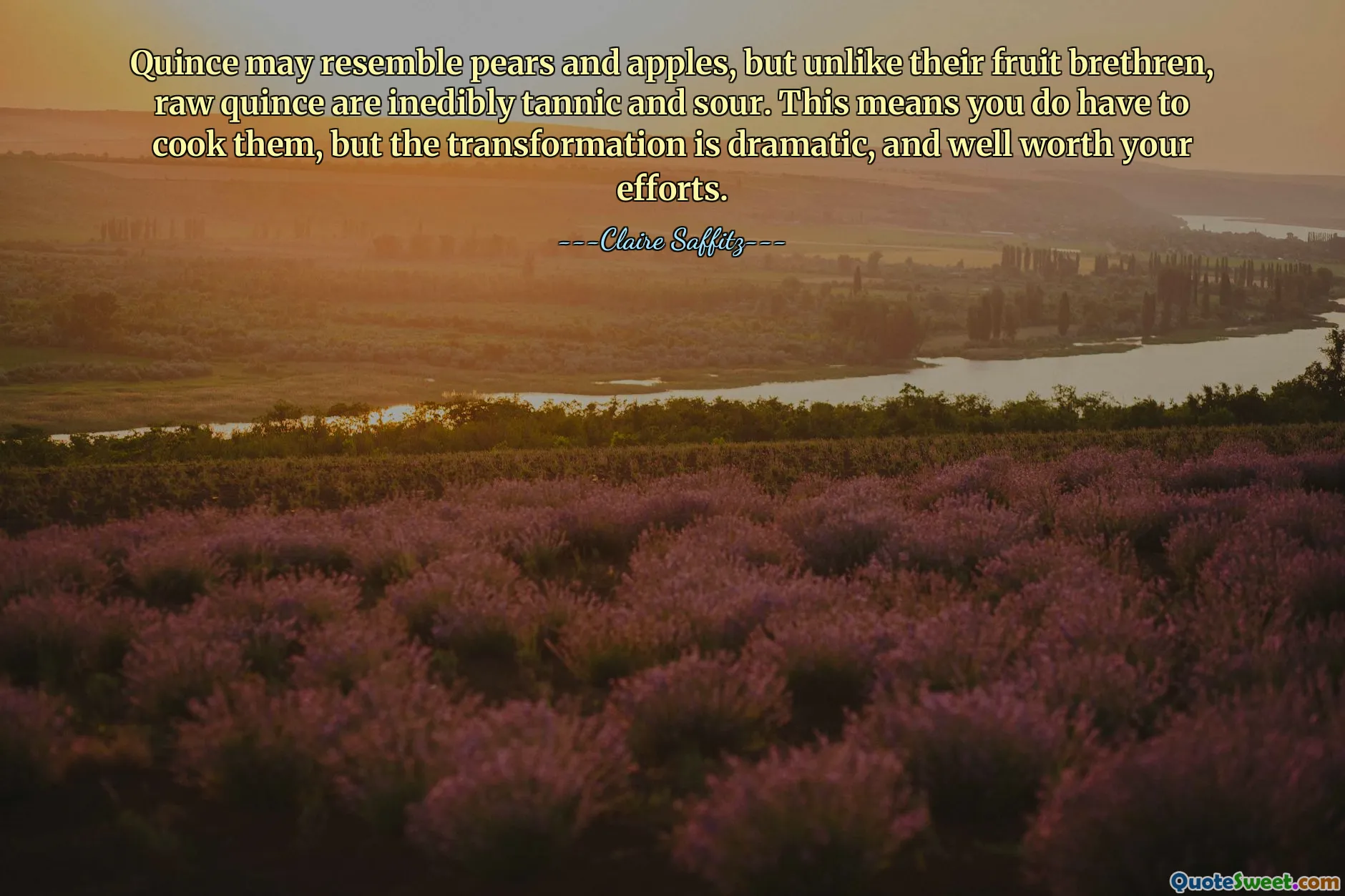 Kdoule může připomínat hrušky a jablka, ale na rozdíl od svých ovocných bratříčků jsou kdoule nepoživatelné tříslové a kyselé. To znamená, že je musíte vařit, ale proměna je dramatická a stojí za vaše úsilí.