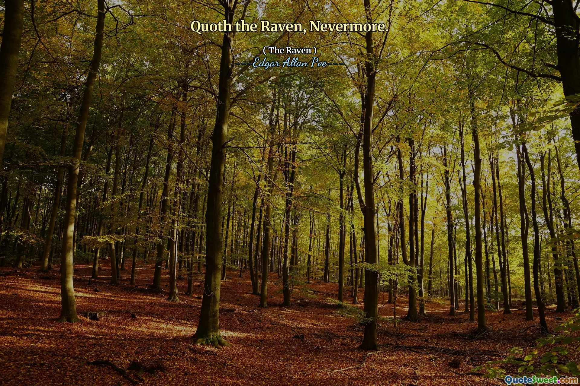 Quoth the Raven, Nevermore.