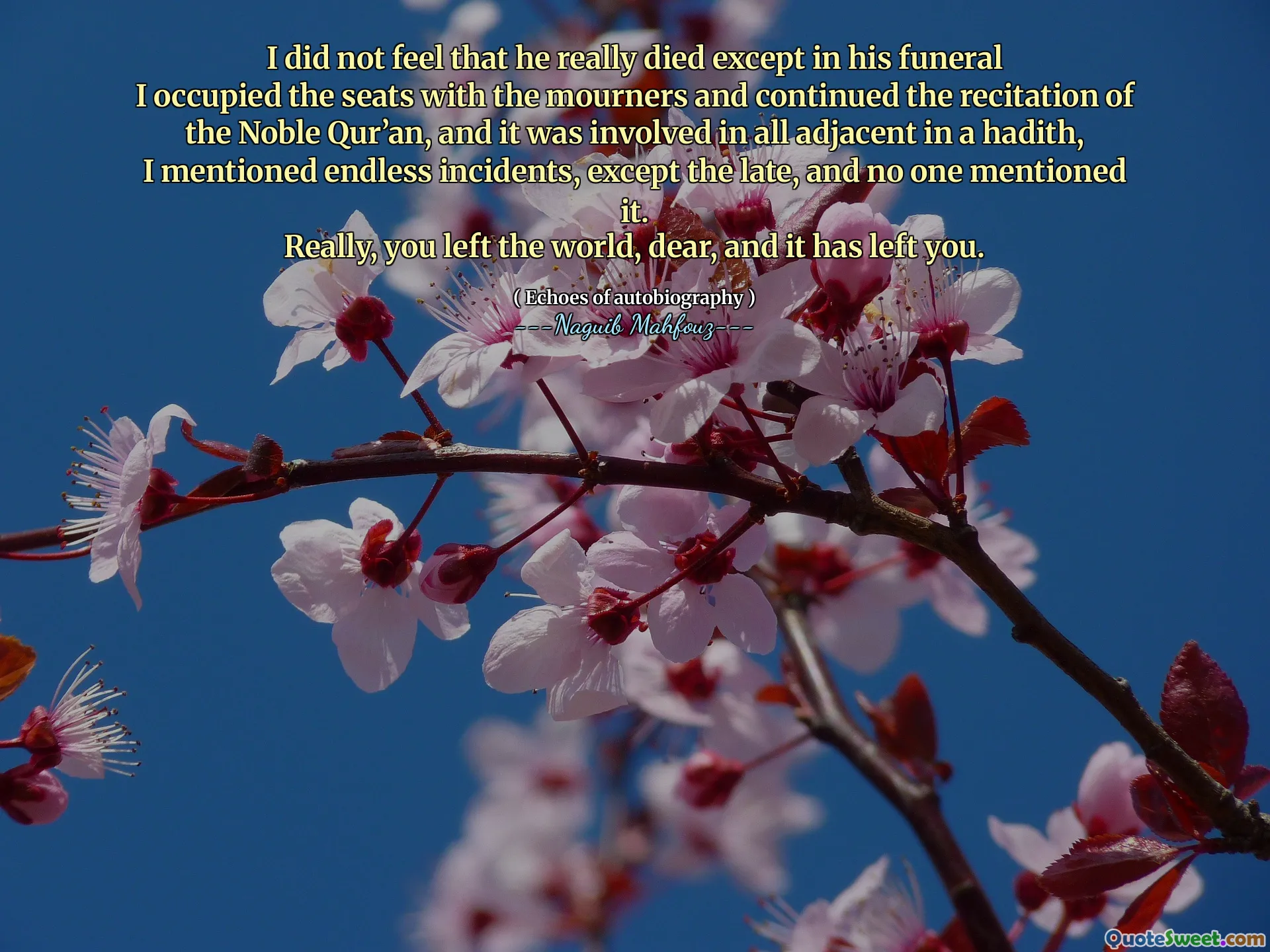 Saya tidak merasa bahwa dia benar -benar mati kecuali dalam pemakamannya
Saya menempati kursi dengan pelayat dan melanjutkan pembacaan Al -Qur'an yang mulia, dan itu terlibat dalam semua yang berdekatan dalam hadis,
Saya menyebutkan insiden tanpa akhir, kecuali yang terlambat, dan tidak ada yang menyebutkannya.
Sungguh, Anda meninggalkan dunia, sayang, dan itu telah meninggalkan Anda.