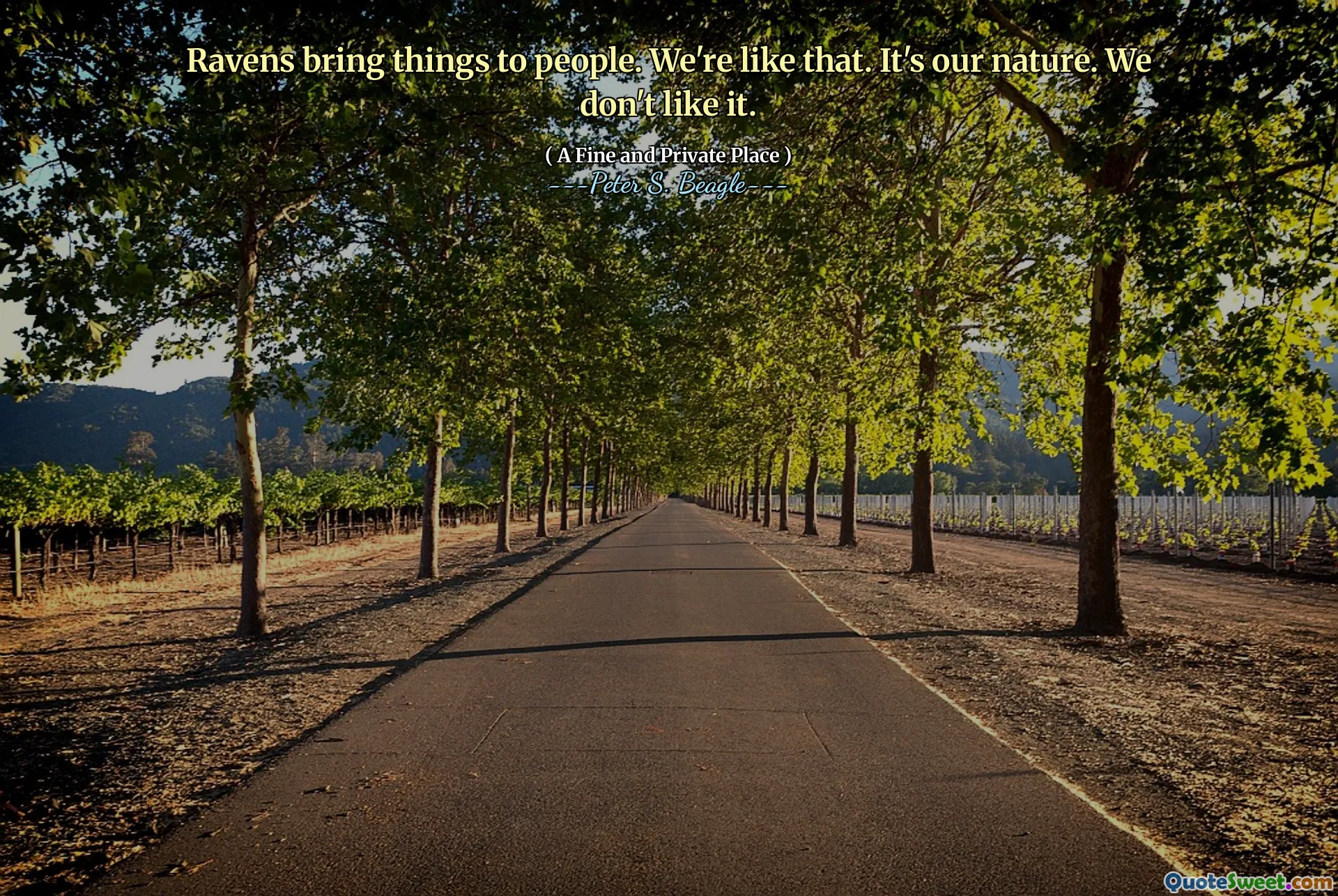 Ravens bring things to people. We're like that. It's our nature. We don't like it.