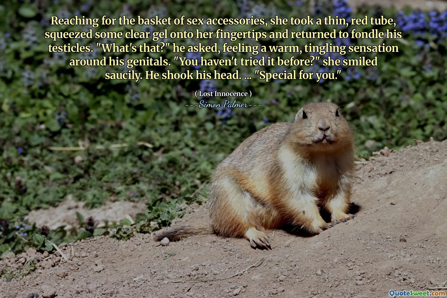 Reaching for the basket of sex accessories, she took a thin, red tube, squeezed some clear gel onto her fingertips and returned to fondle his testicles. "What's that?" he asked, feeling a warm, tingling sensation around his genitals. "You haven't tried it before?" she smiled saucily. He shook his head. ... "Special for you."