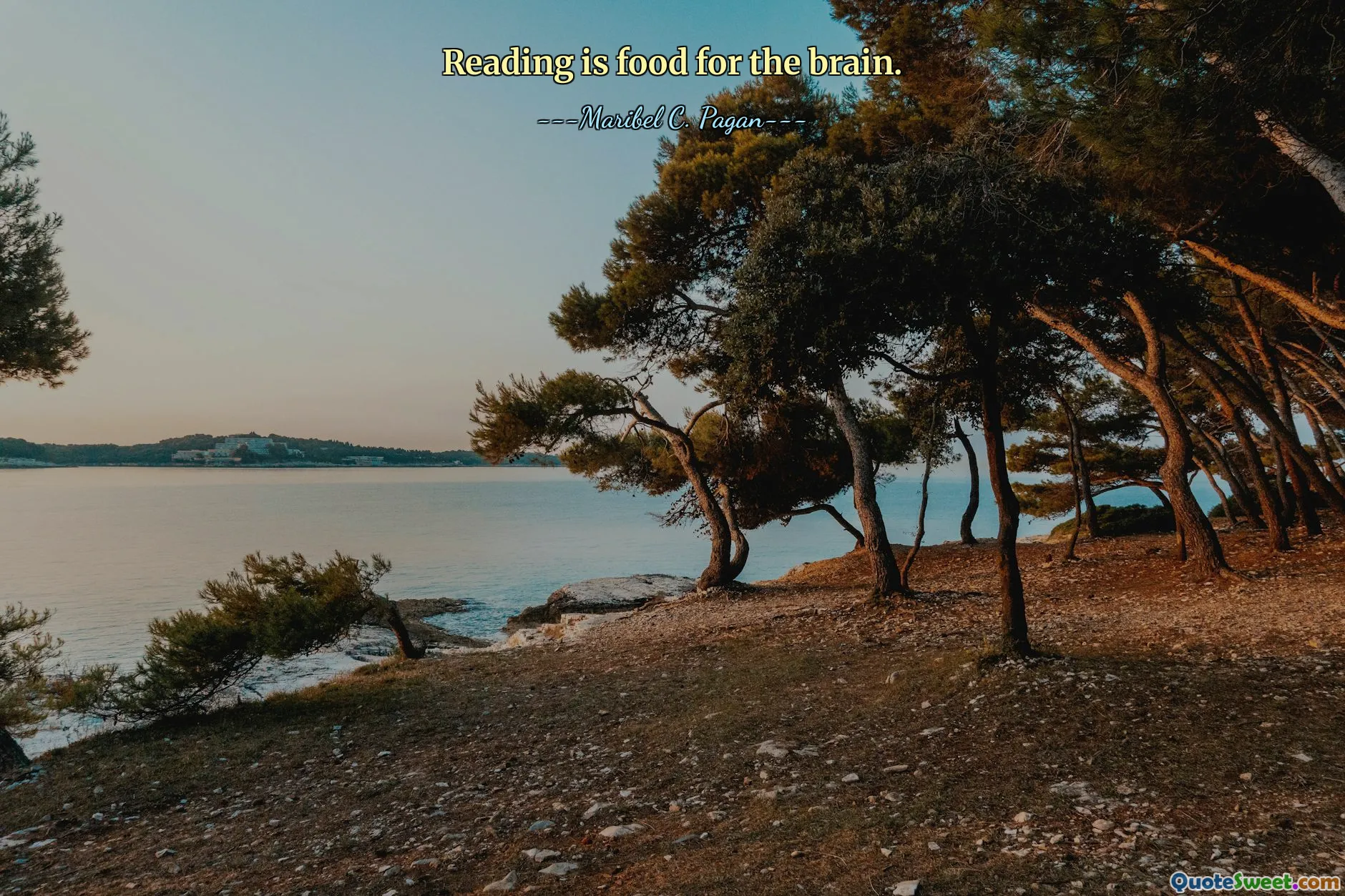 Reading is food for the brain.