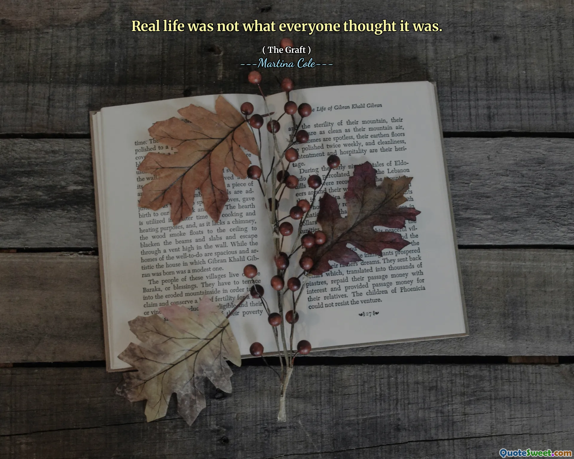 Viața reală nu a fost ceea ce toată lumea credea că este.