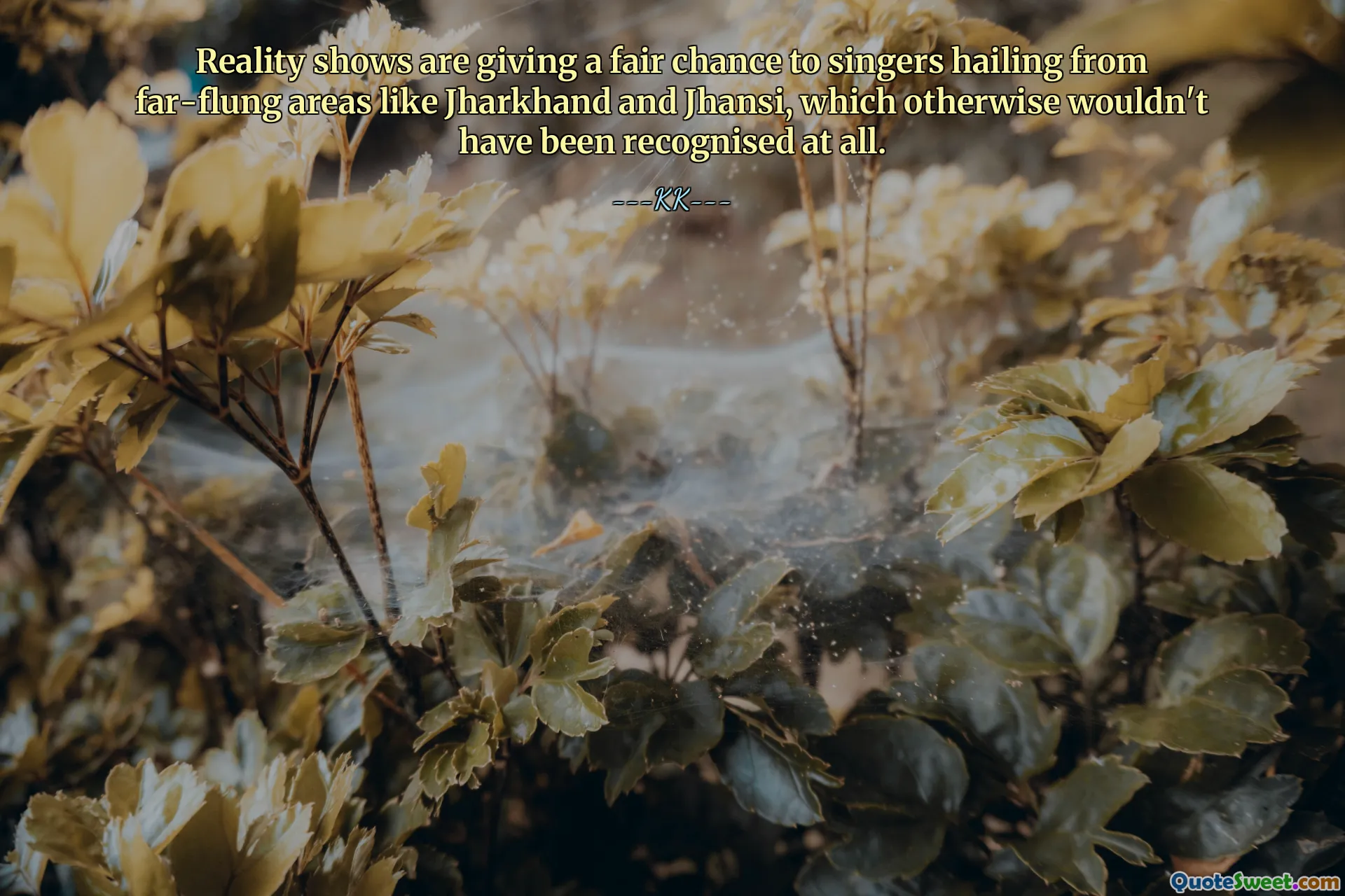 Reality shows are giving a fair chance to singers hailing from far-flung areas like Jharkhand and Jhansi, which otherwise wouldn't have been recognised at all.