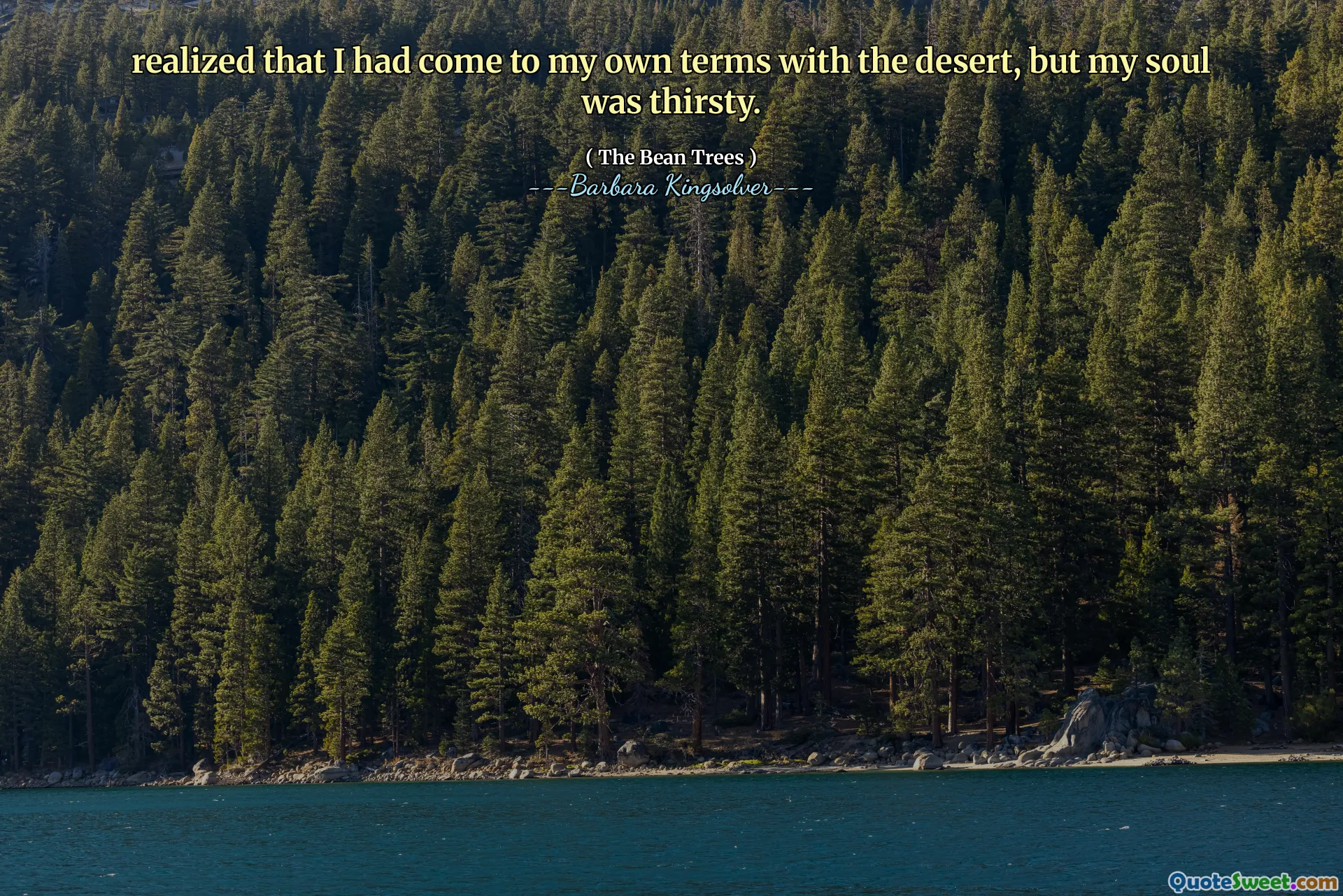 Çölle kendi şartlarıma geldiğimi fark ettim, ama ruhum susamıştı.