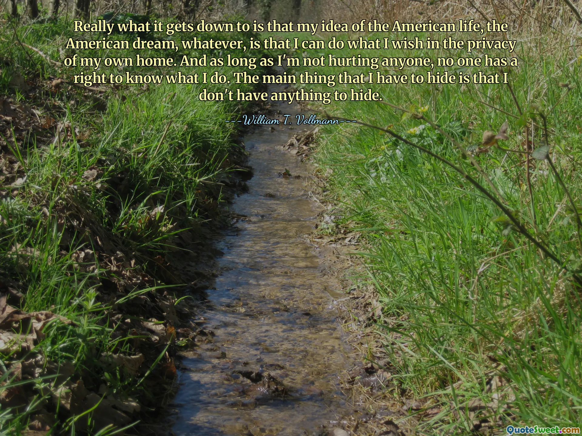 Really what it gets down to is that my idea of the American life, the American dream, whatever, is that I can do what I wish in the privacy of my own home. And as long as I'm not hurting anyone, no one has a right to know what I do. The main thing that I have to hide is that I don't have anything to hide.