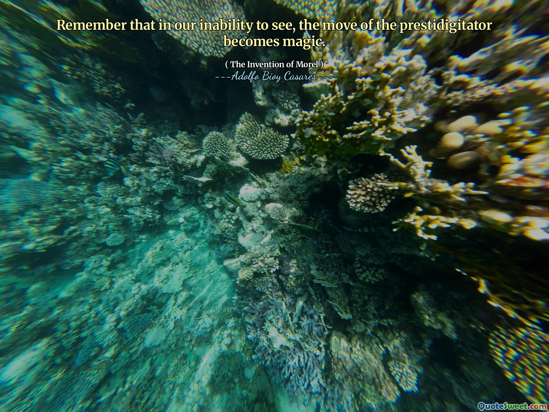 Remember that in our inability to see, the move of the prestidigitator becomes magic.