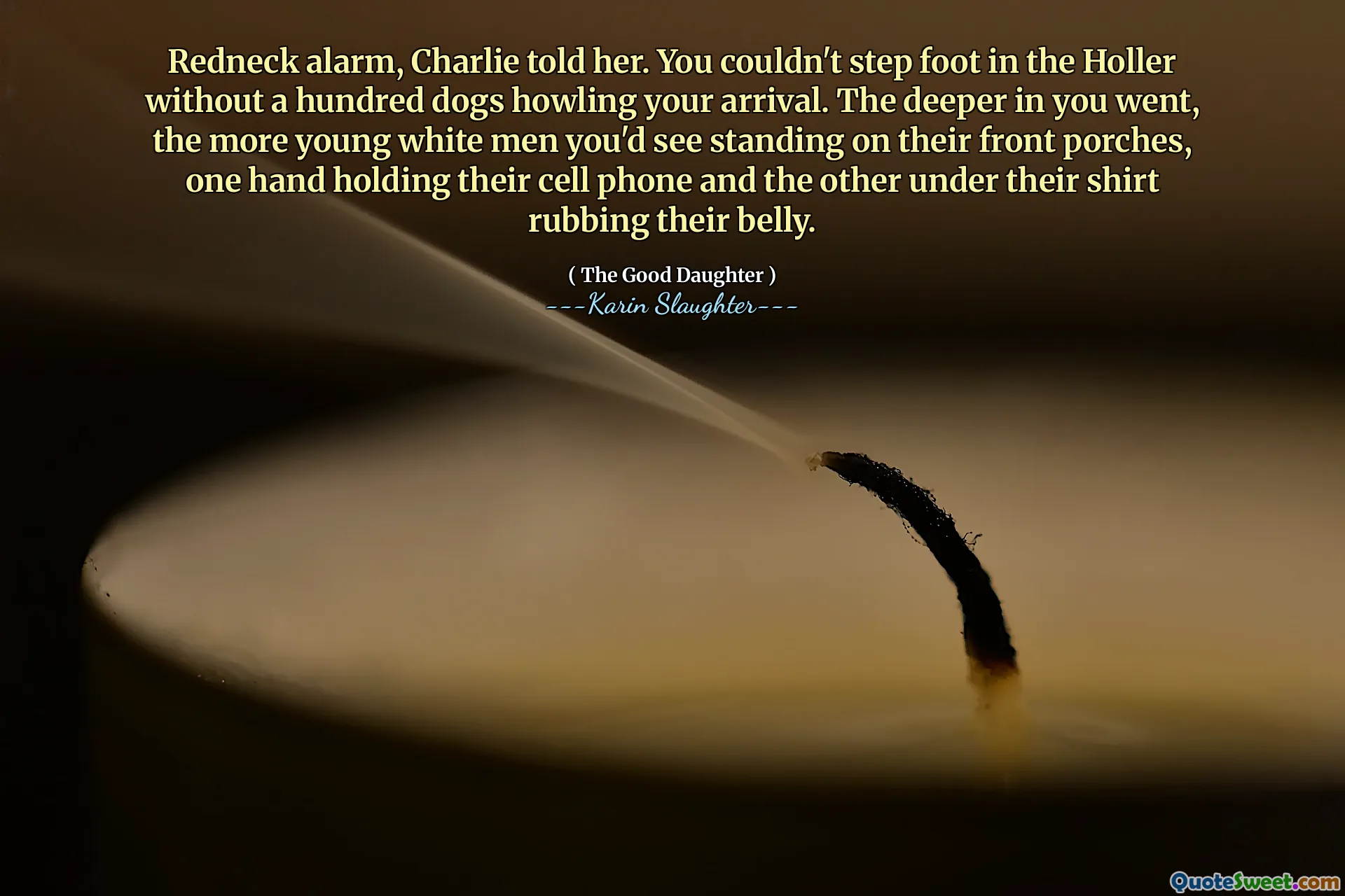 Redneck alarm, Charlie told her. You couldn't step foot in the Holler without a hundred dogs howling your arrival. The deeper in you went, the more young white men you'd see standing on their front porches, one hand holding their cell phone and the other under their shirt rubbing their belly.