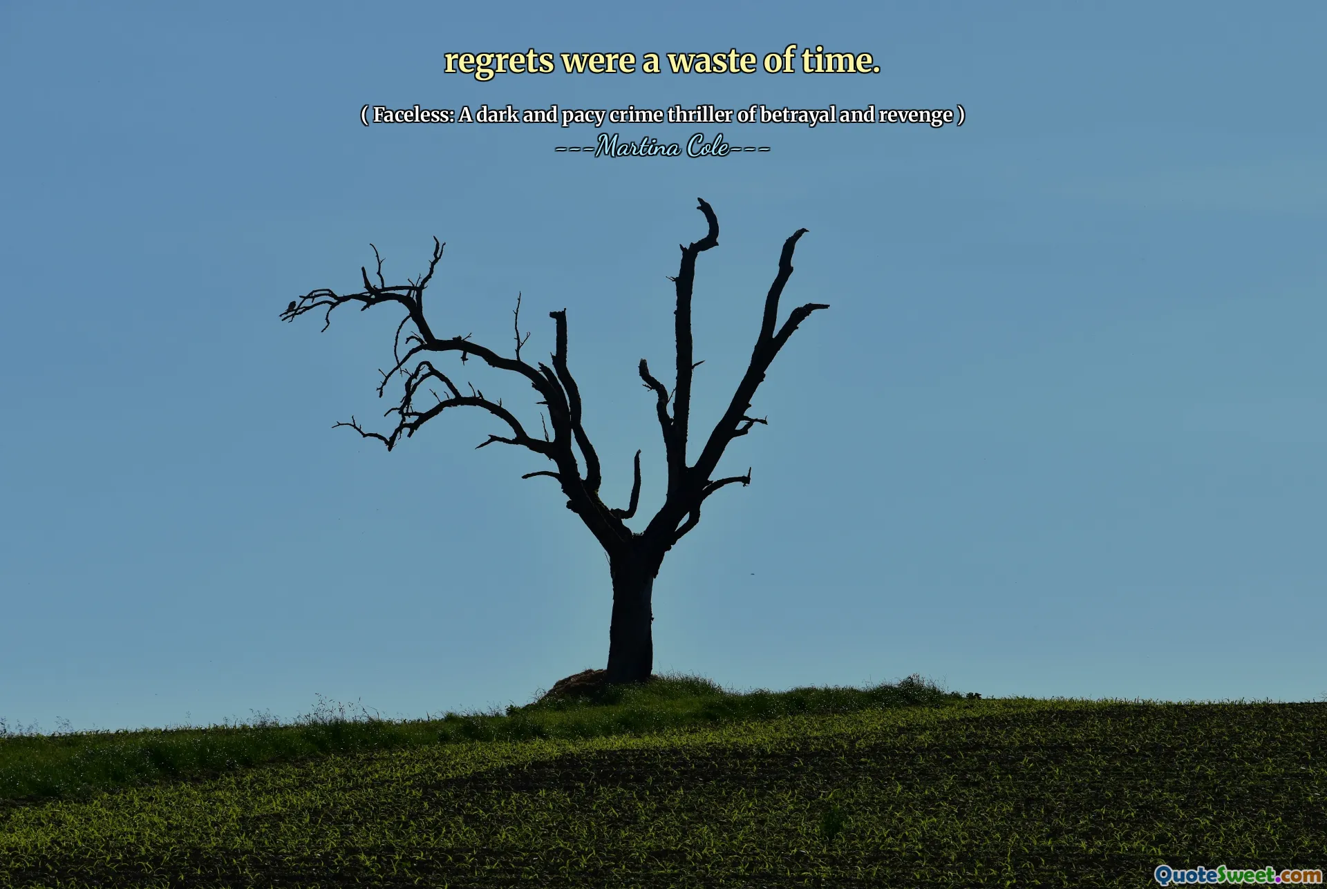 Regretele au fost o pierdere de timp.