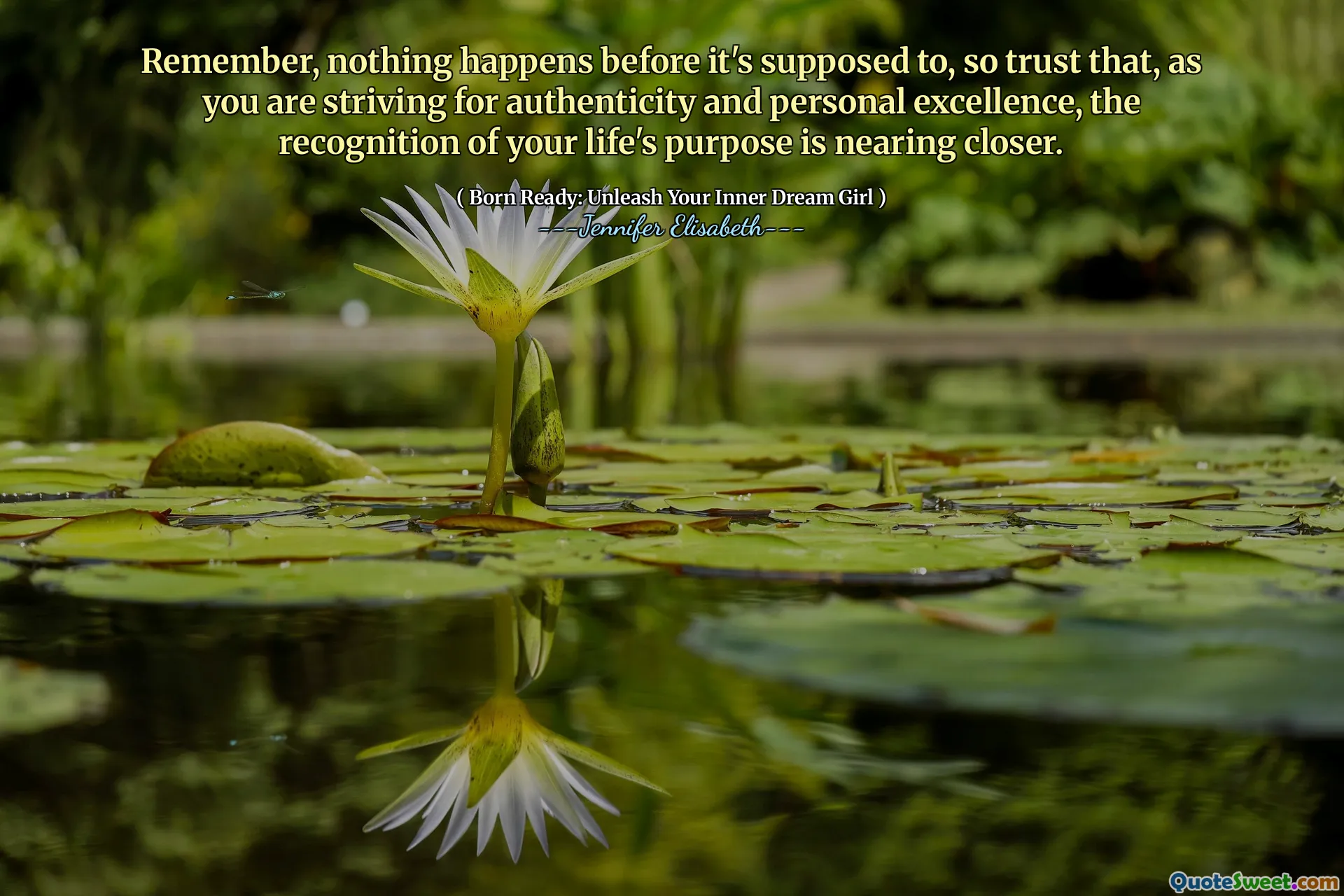 Remember, nothing happens before it's supposed to, so trust that, as you are striving for authenticity and personal excellence, the recognition of your life's purpose is nearing closer.