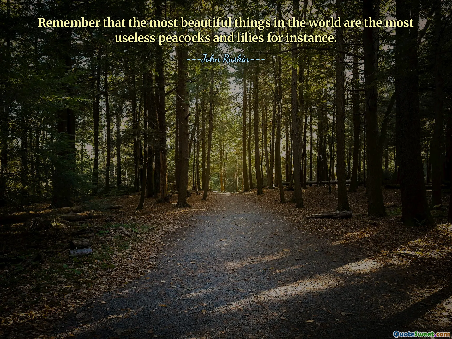 Remember that the most beautiful things in the world are the most useless peacocks and lilies for instance.