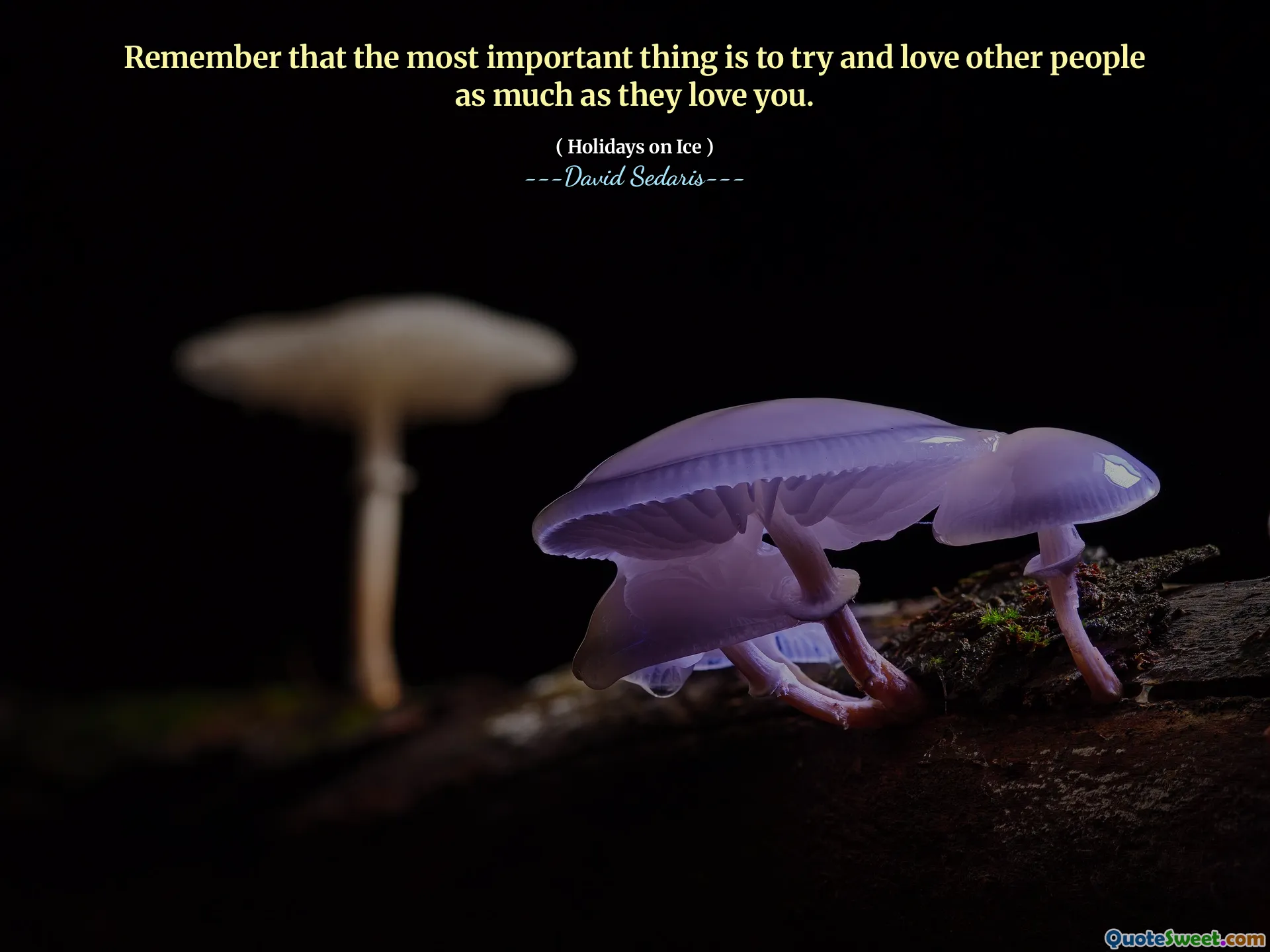 Remember that the most important thing is to try and love other people as much as they love you.