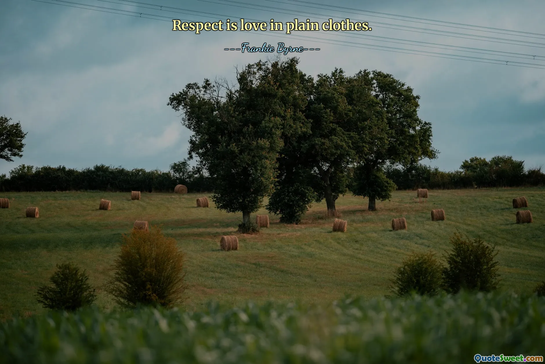 Respect is love in plain clothes.