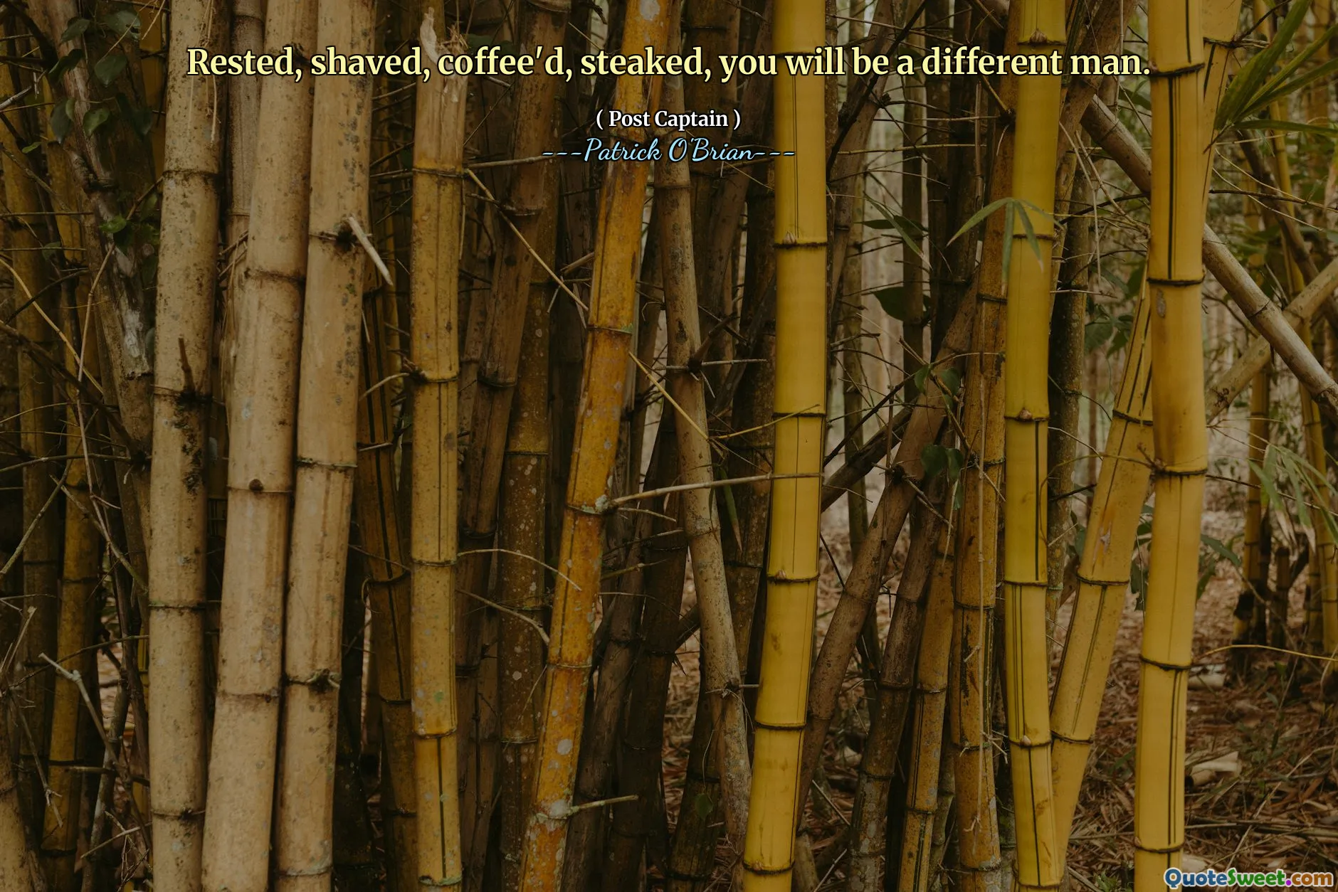 Rested, shaved, coffee'd, steaked, you will be a different man.