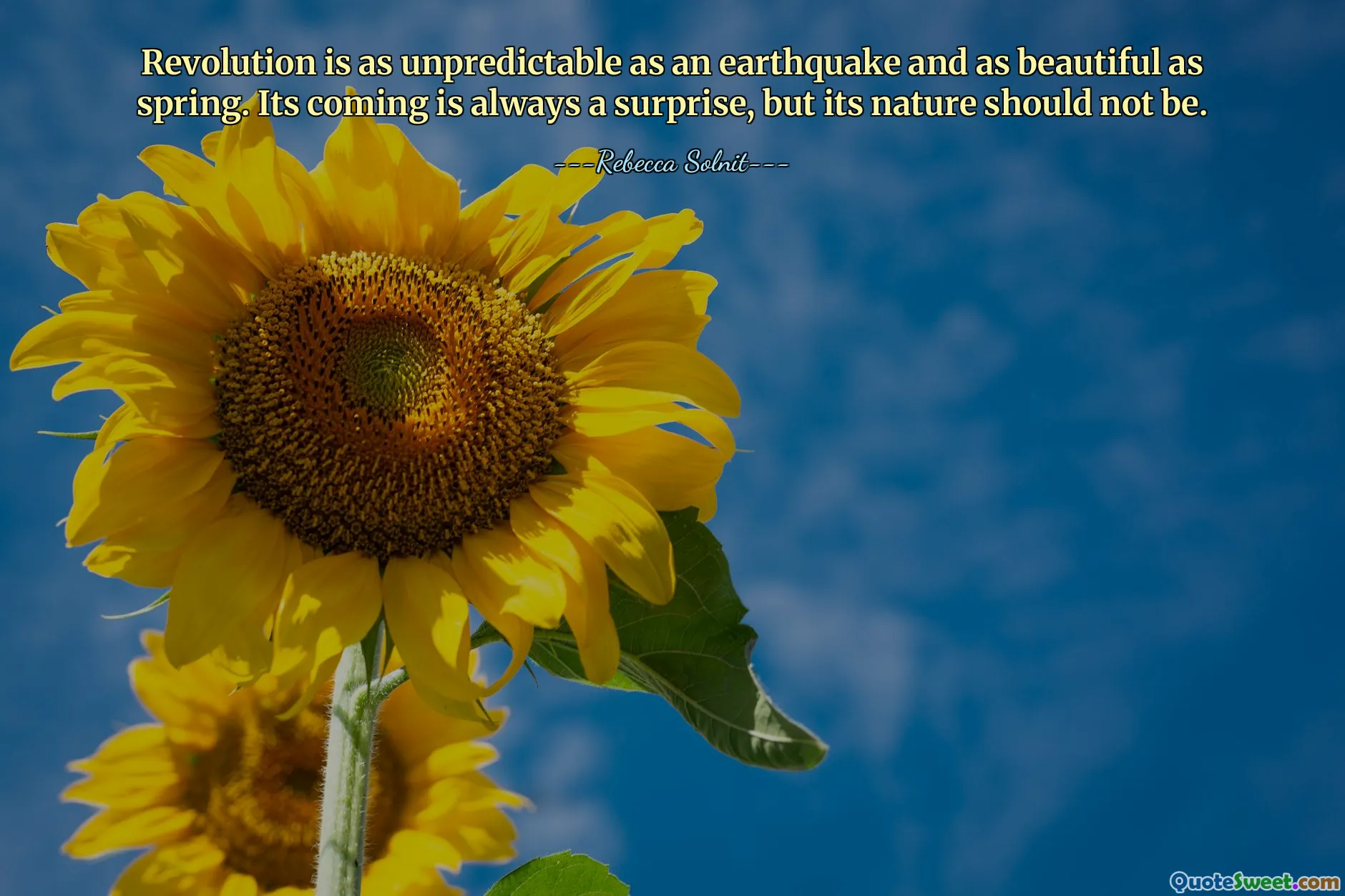 Revolution is as unpredictable as an earthquake and as beautiful as spring. Its coming is always a surprise, but its nature should not be.