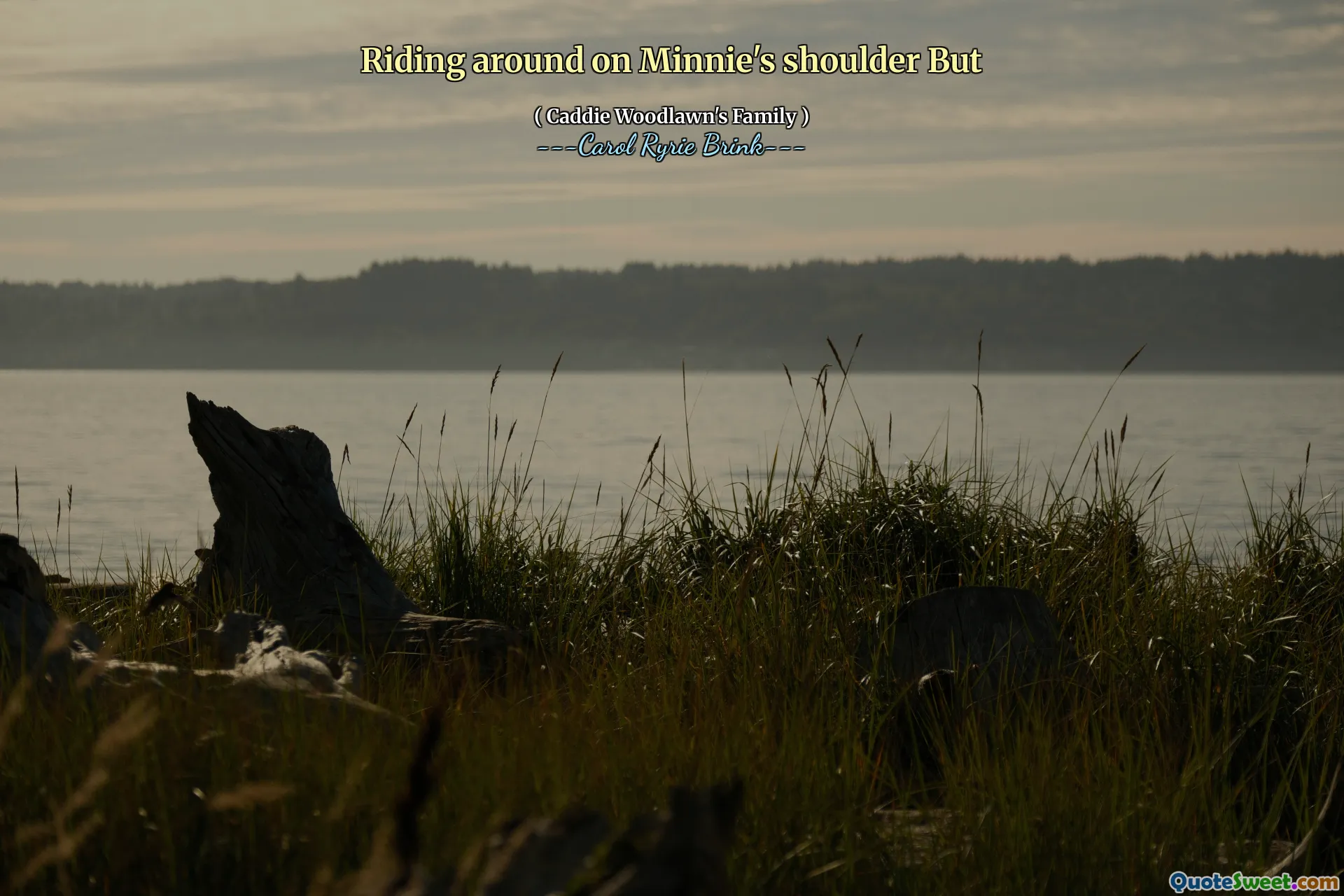 骑在米妮的肩膀上 但是