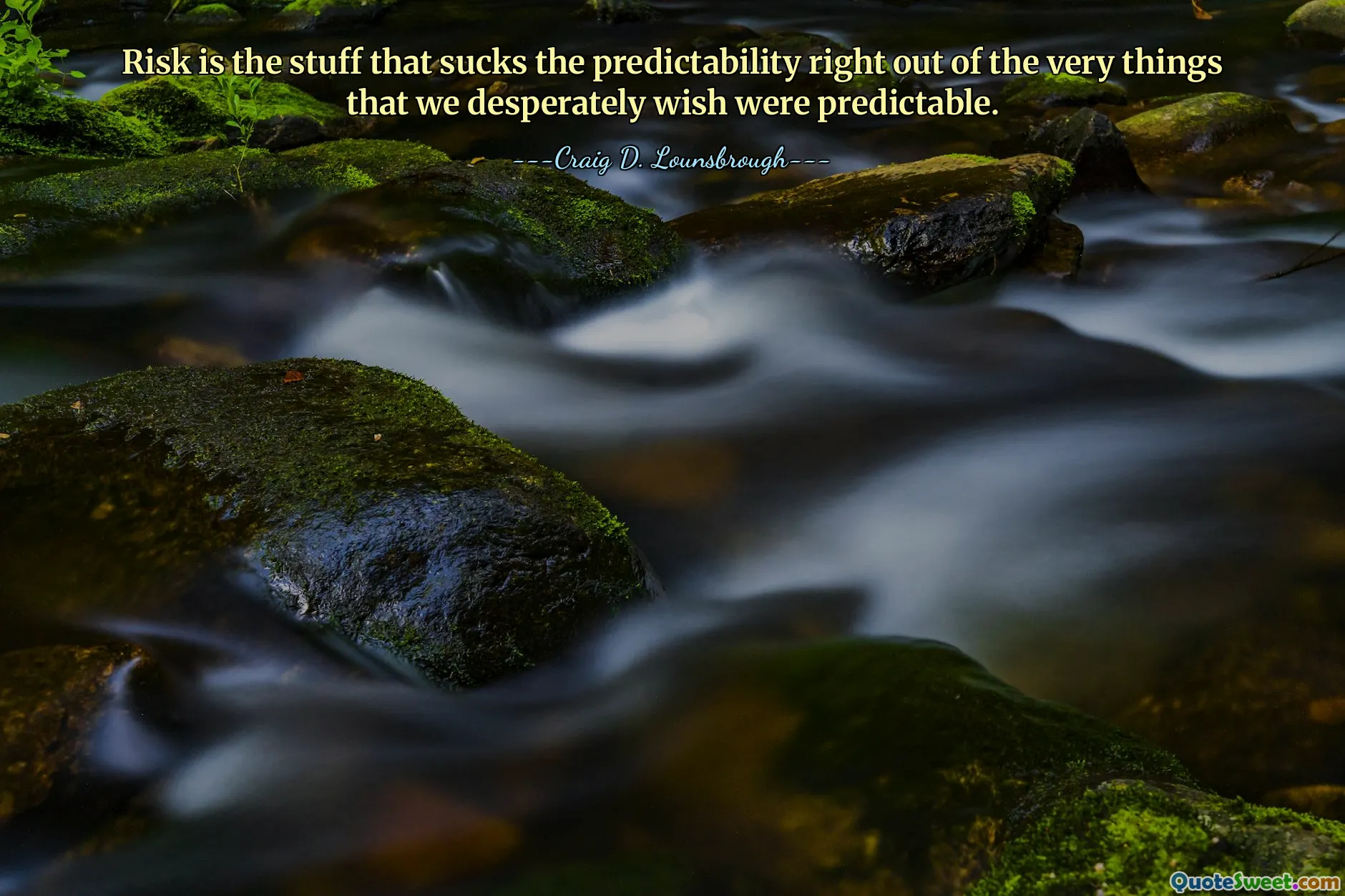 Risk is the stuff that sucks the predictability right out of the very things that we desperately wish were predictable.