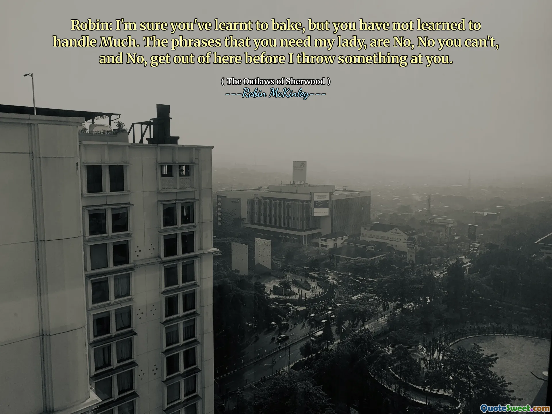 罗宾：我相信你已经学会了烘焙，但你还没有学会处理很多事情。女士，你需要的短语是“不”、“不，你不能”和“不，在我向你扔东西之前离开这里”。
