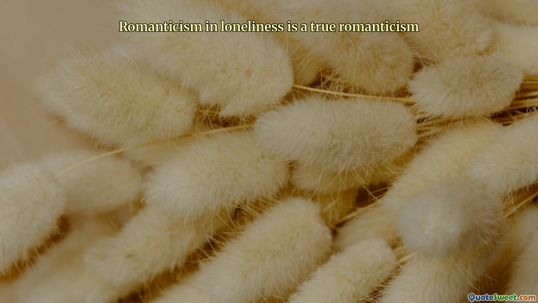 Romanticism in loneliness is a true romanticism