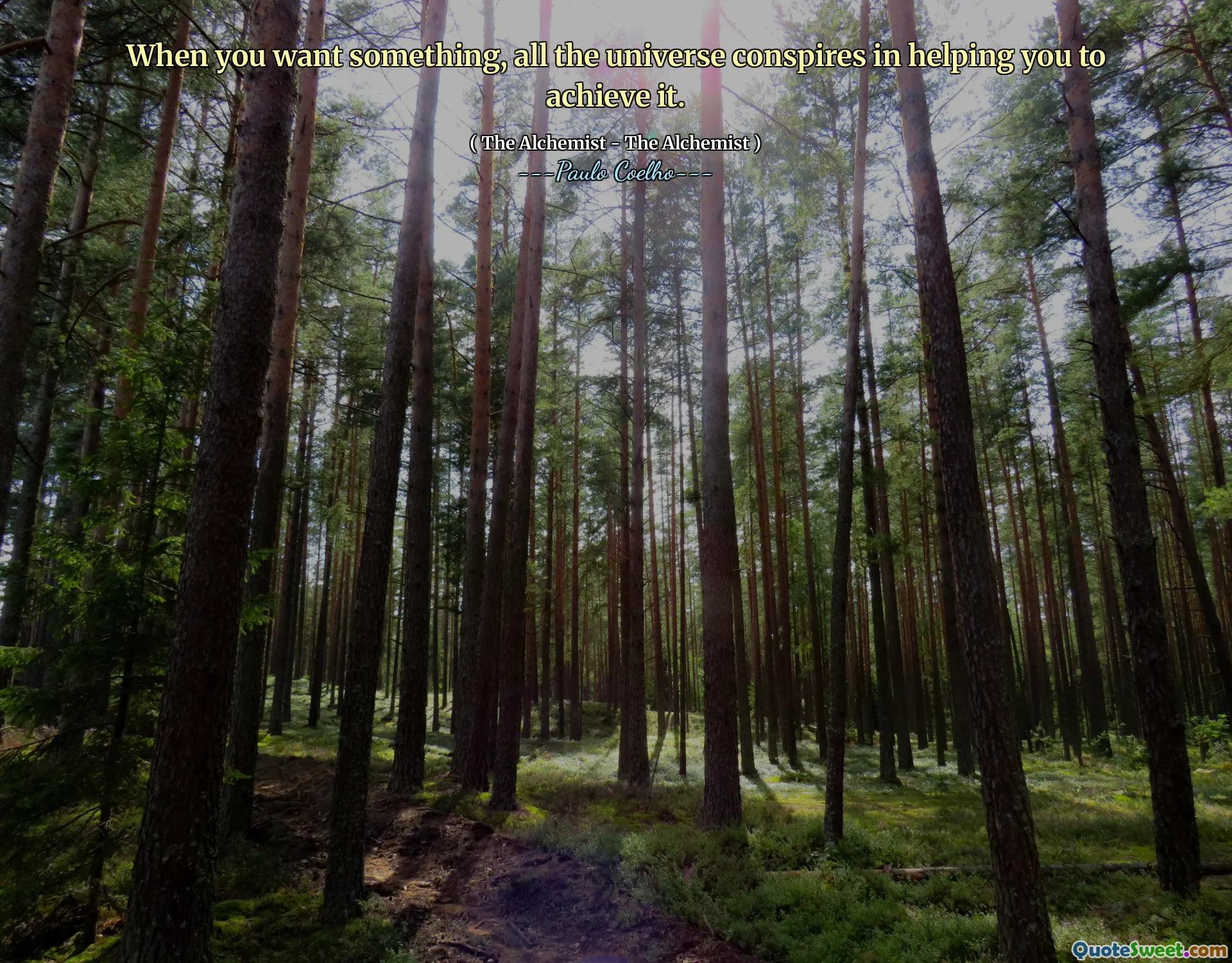 When you want something, all the universe conspires in helping you to achieve it.