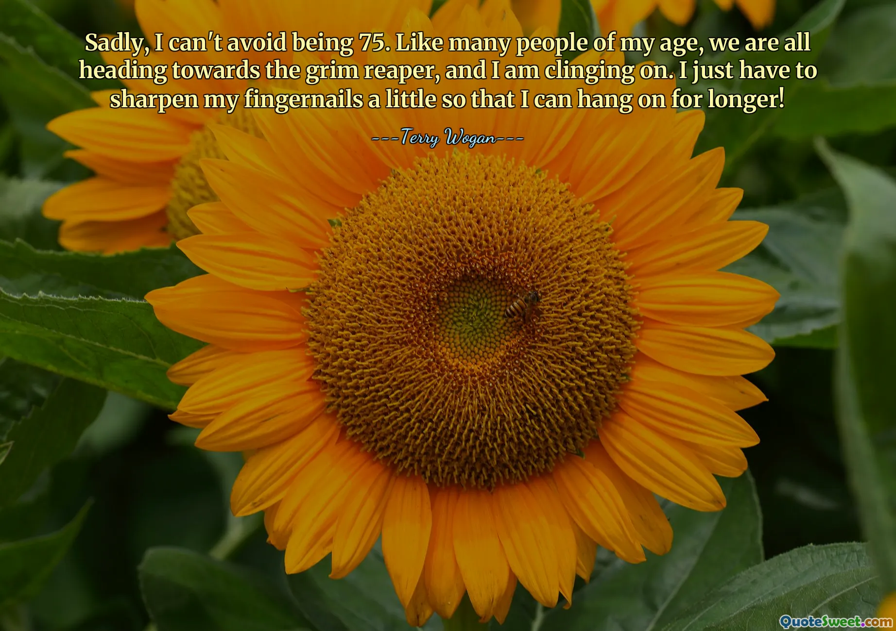 Sadly, I can't avoid being 75. Like many people of my age, we are all heading towards the grim reaper, and I am clinging on. I just have to sharpen my fingernails a little so that I can hang on for longer!