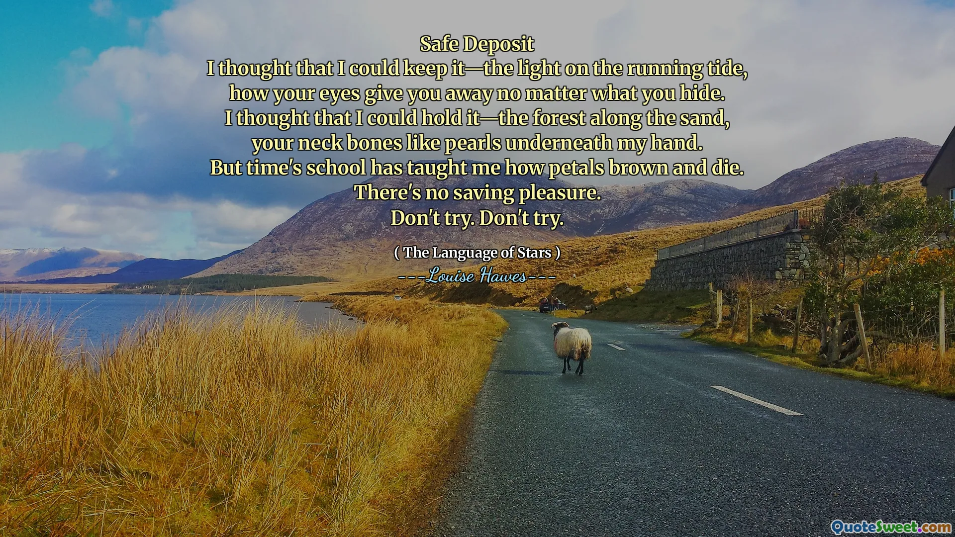 Safe Deposit
I thought that I could keep it—the light on the running tide,
how your eyes give you away no matter what you hide.
I thought that I could hold it—the forest along the sand,
your neck bones like pearls underneath my hand.
But time's school has taught me how petals brown and die.
There's no saving pleasure.
Don't try. Don't try.