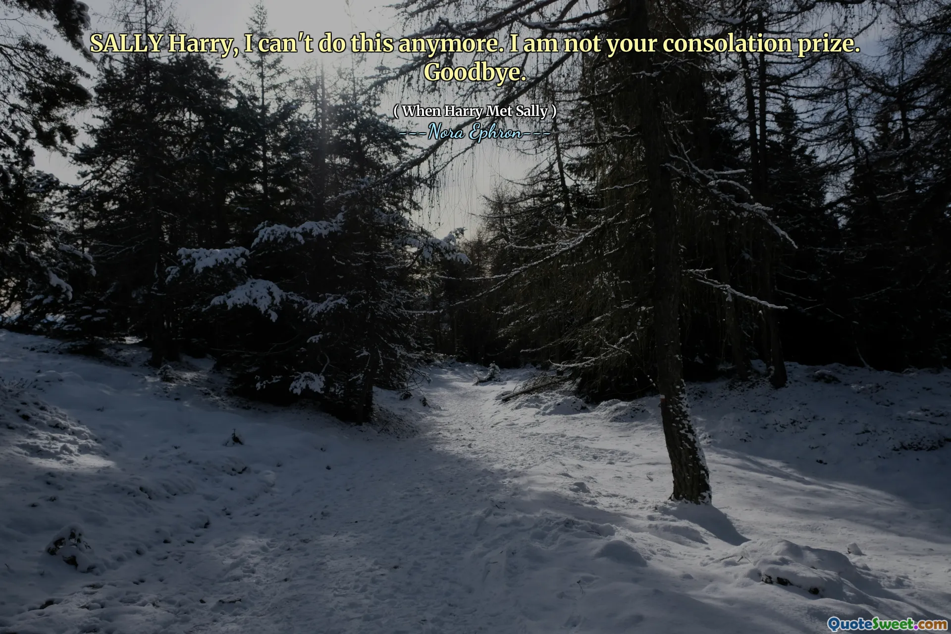 SALLY Harry, I can't do this anymore. I am not your consolation prize. Goodbye.