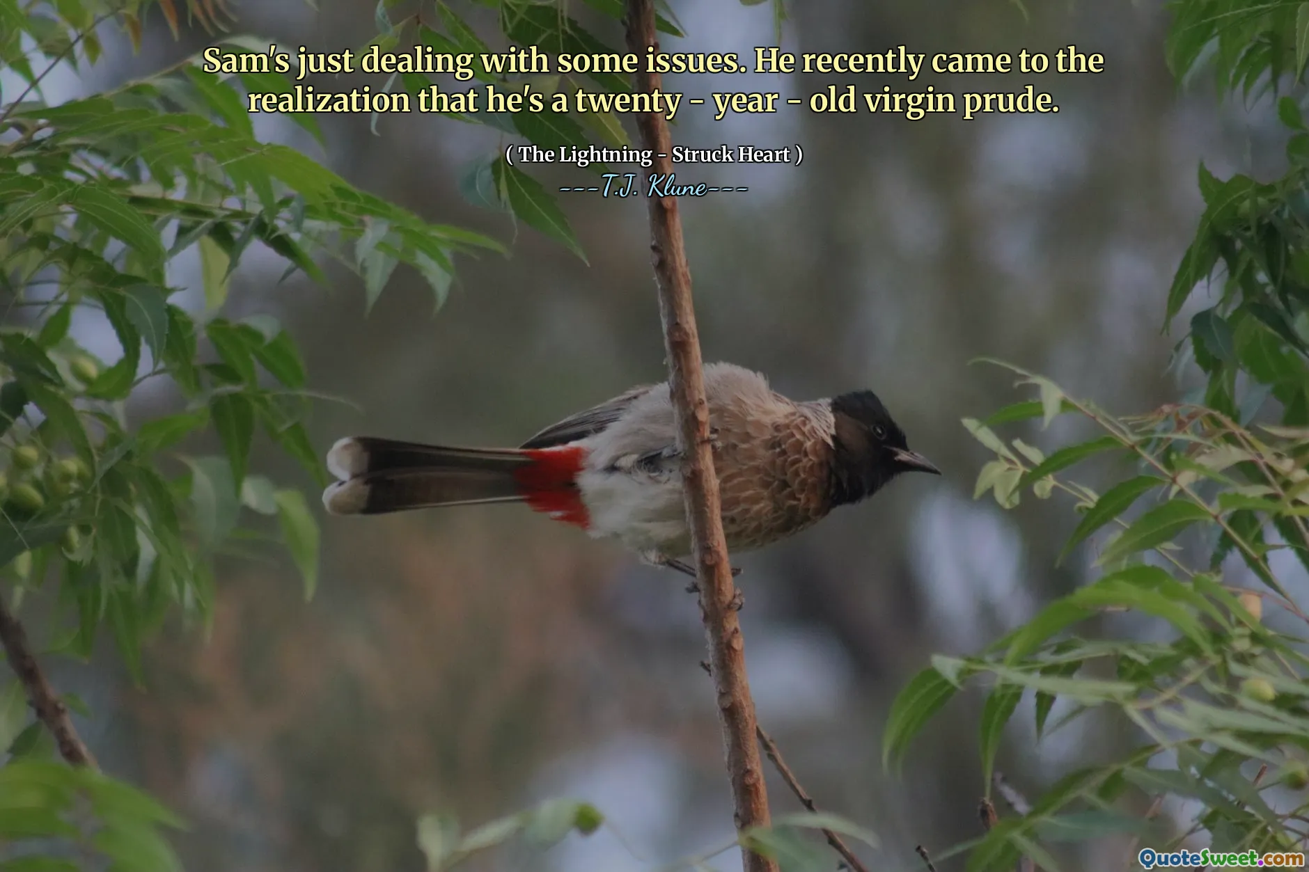 Sam's just dealing with some issues. He recently came to the realization that he's a twenty - year - old virgin prude.