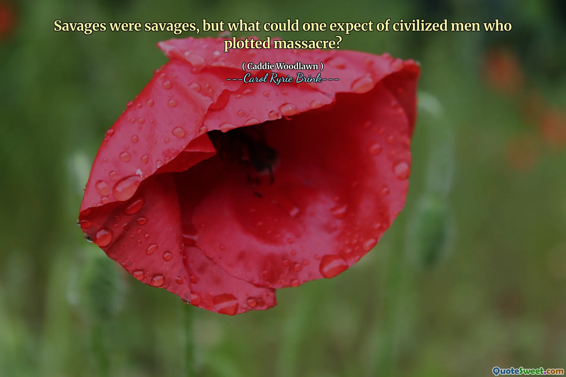 野蛮人就是野蛮人，但对于策划屠杀的文明人又能指望什么呢？