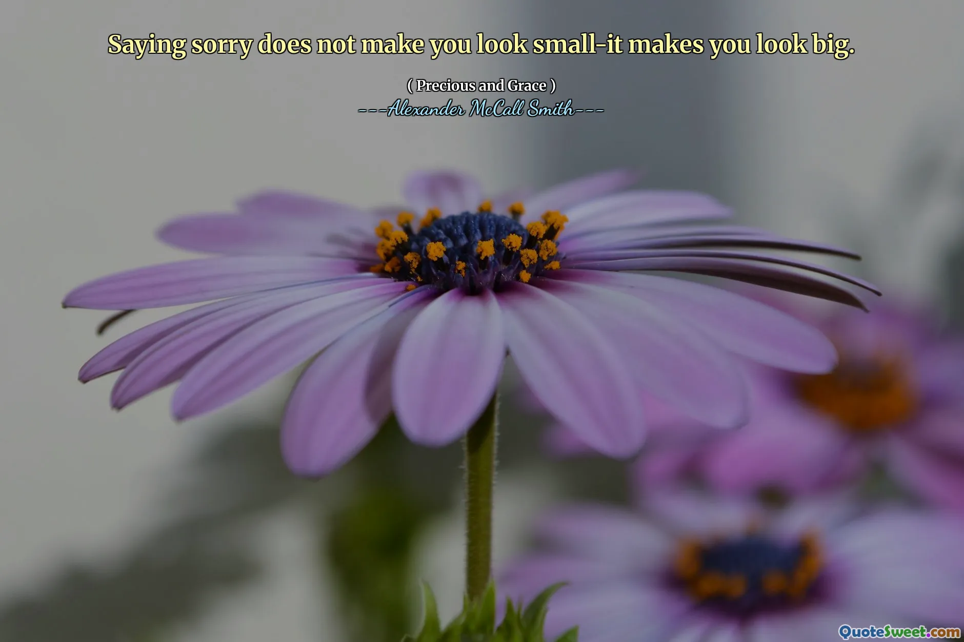 Nói xin lỗi không làm cho bạn trông nhỏ-nó làm cho bạn trông to lớn.