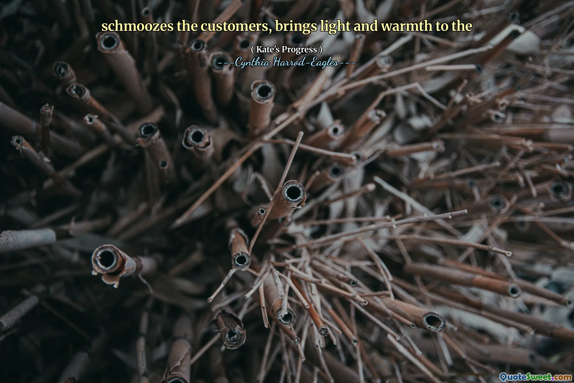 schmoozes the customers, brings light and warmth to the